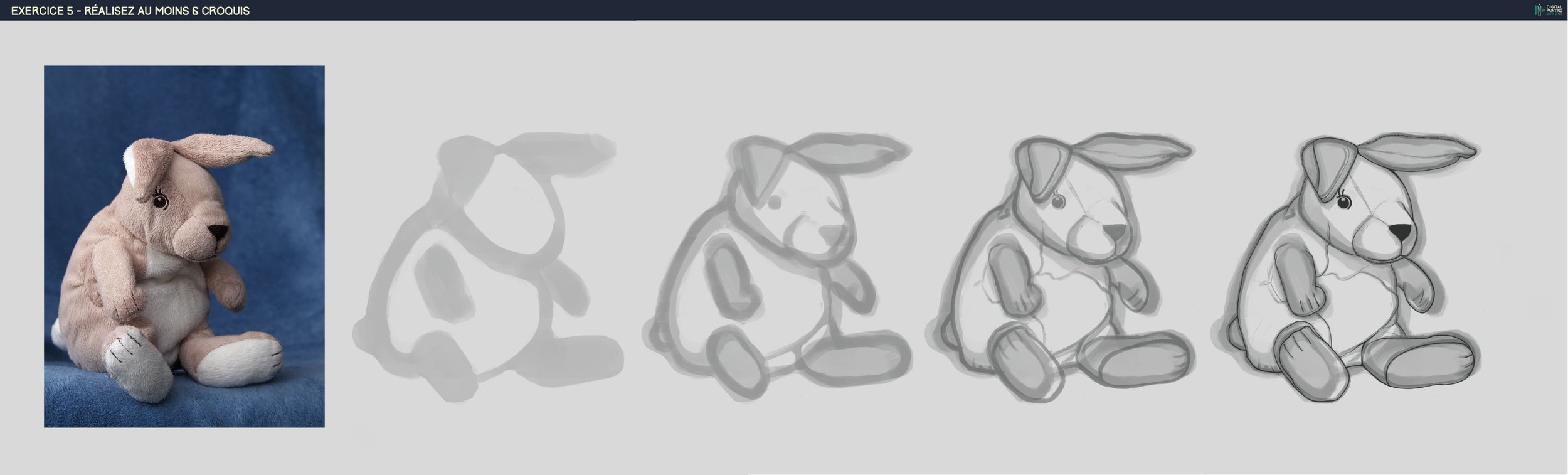 Croquis Lapin 5etapesjpg.jpg