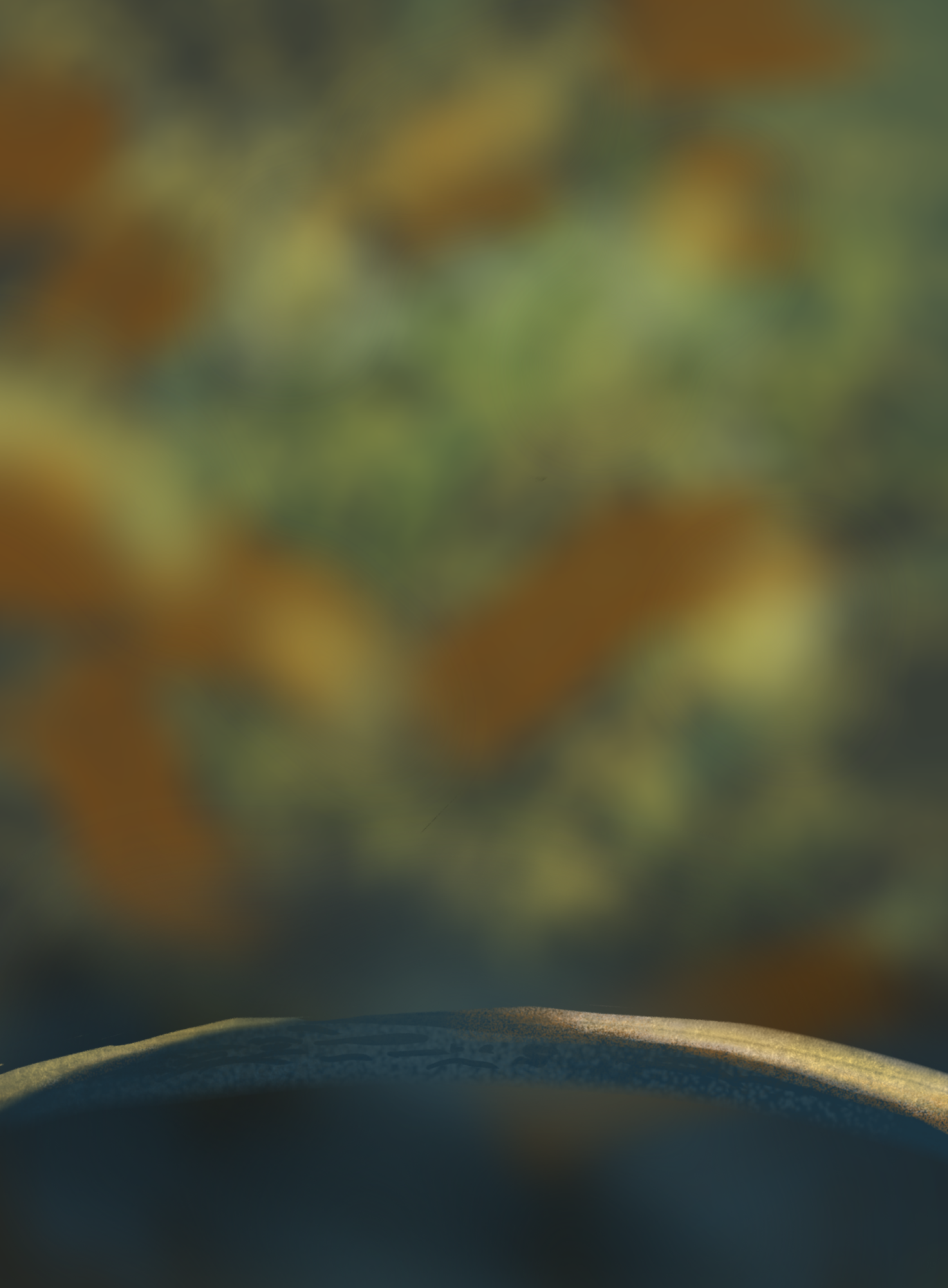 DPS Prog-1-1-Exercice5-Oiseau-Commencement.png