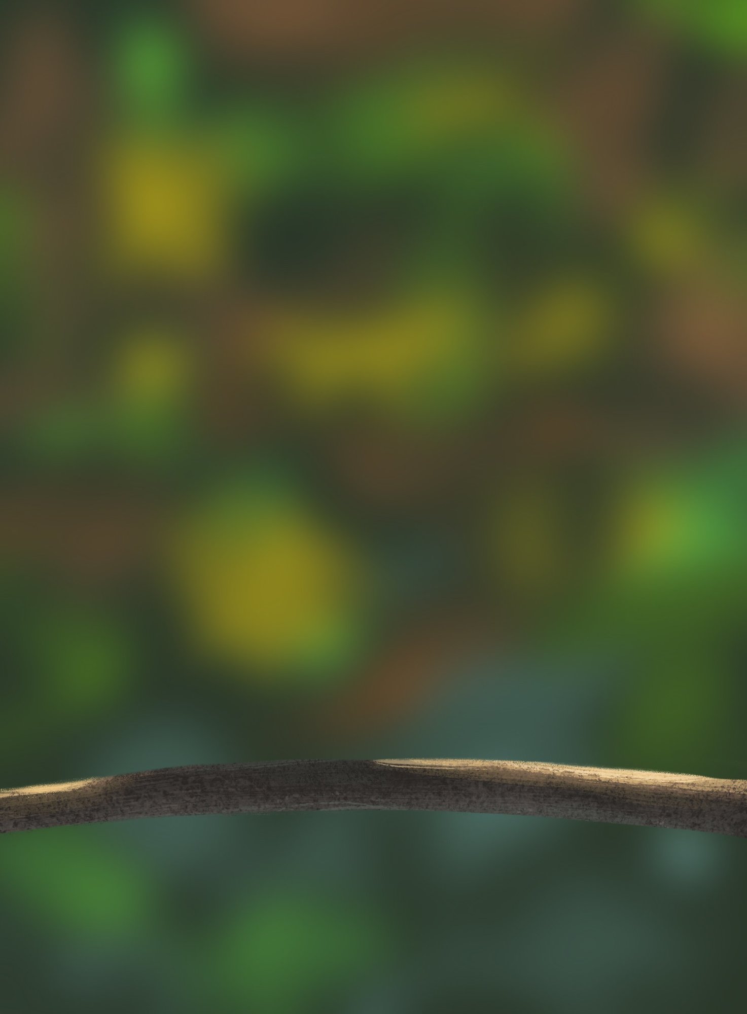 DPS Prog-1-1-Exercice5-Oiseau-Commencement copie.jpg