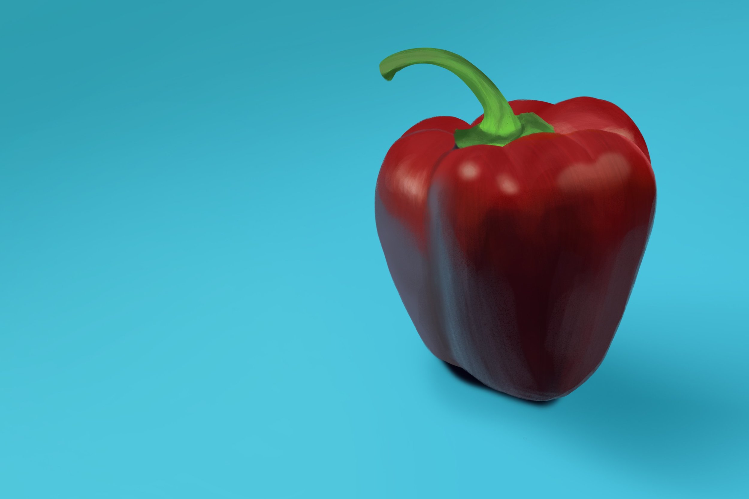 Exercice4-etude-photo1 copie2.jpg