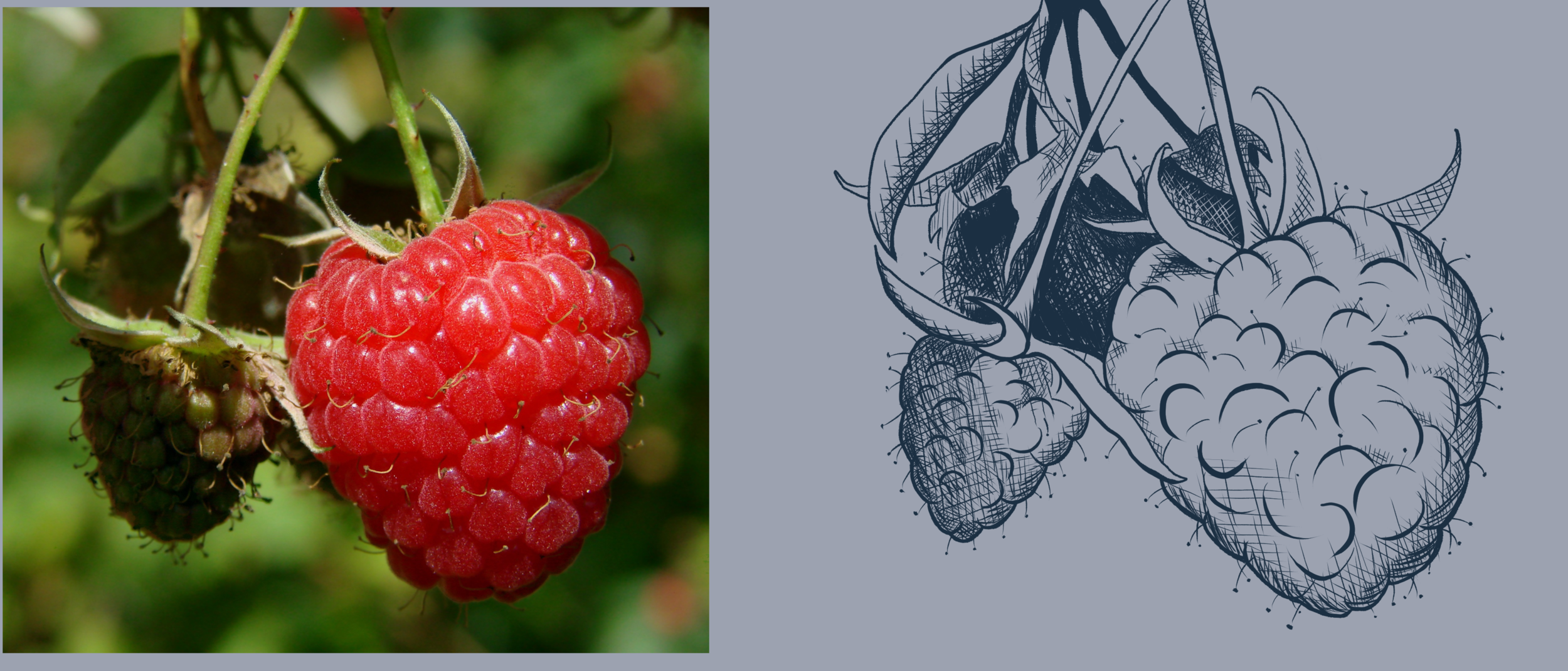 DPS-Prog-1-2-exercice5 3.png