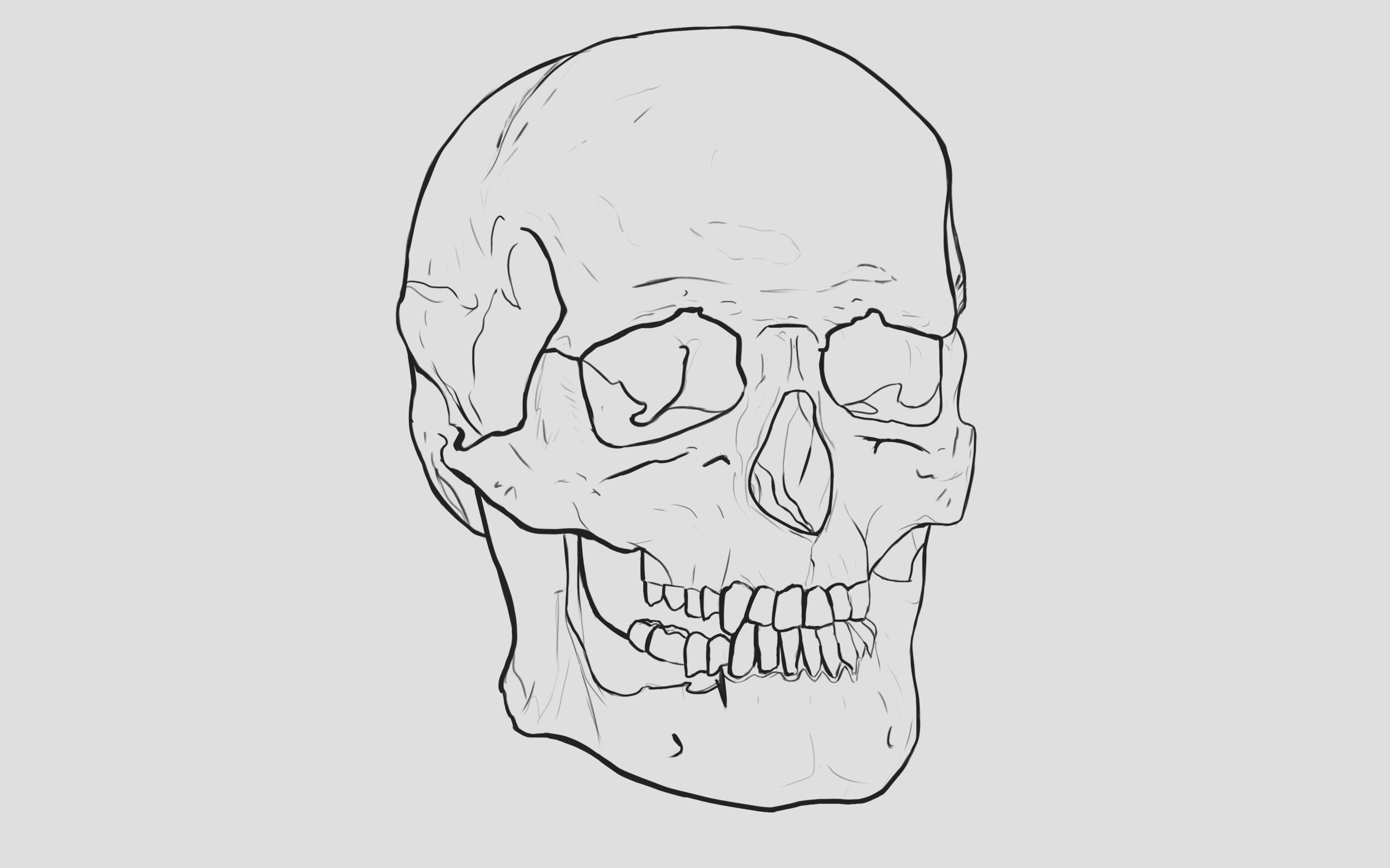 Crâne croquis finito.png