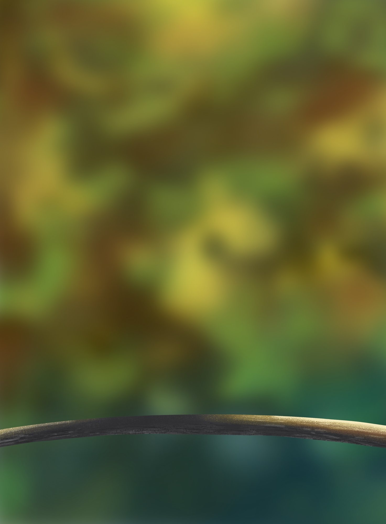 oisillons exercice 5.jpg