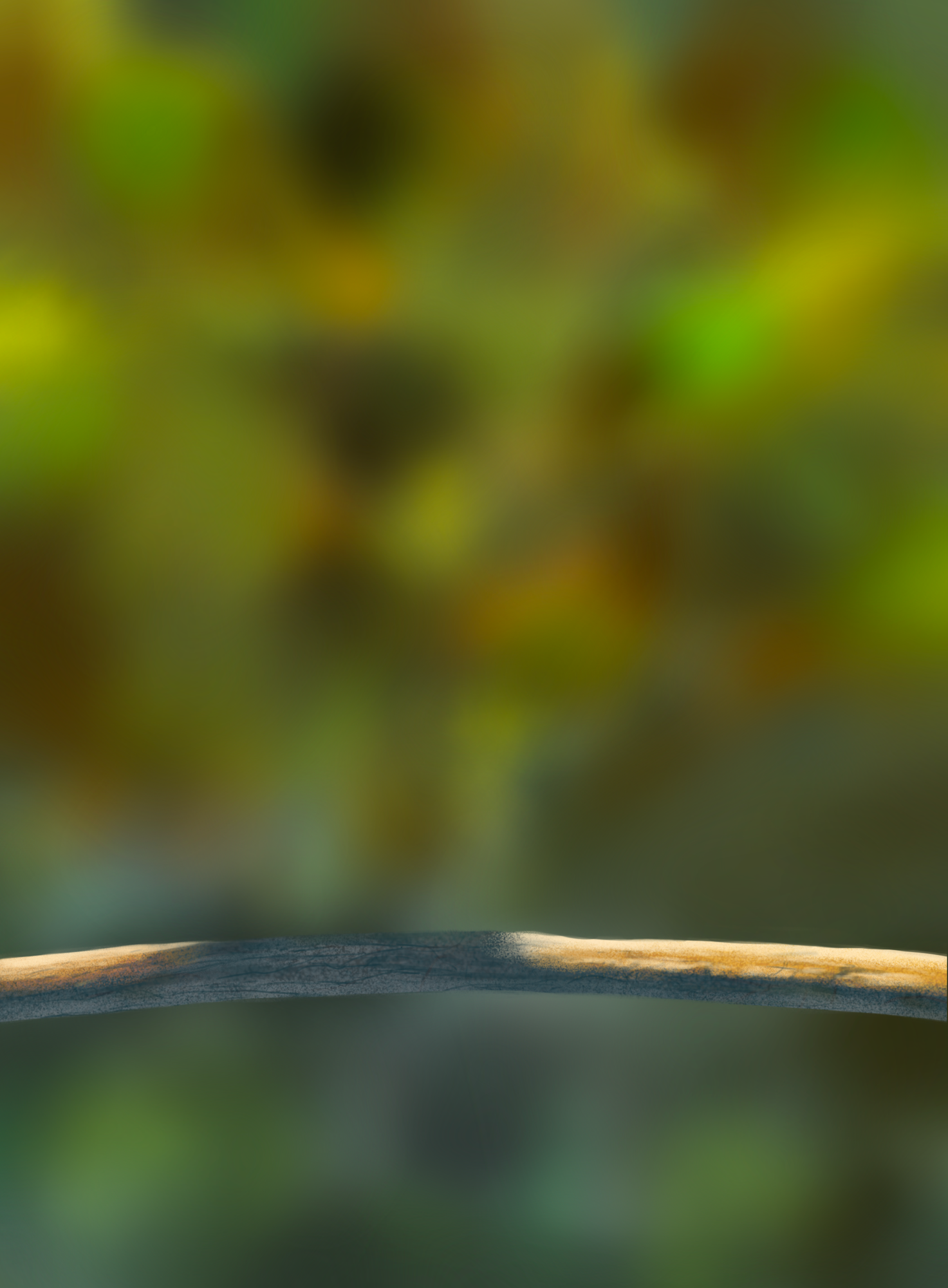 DPS Prog-1-1-Exercice5-Oiseau-Commencement-Corrections.png