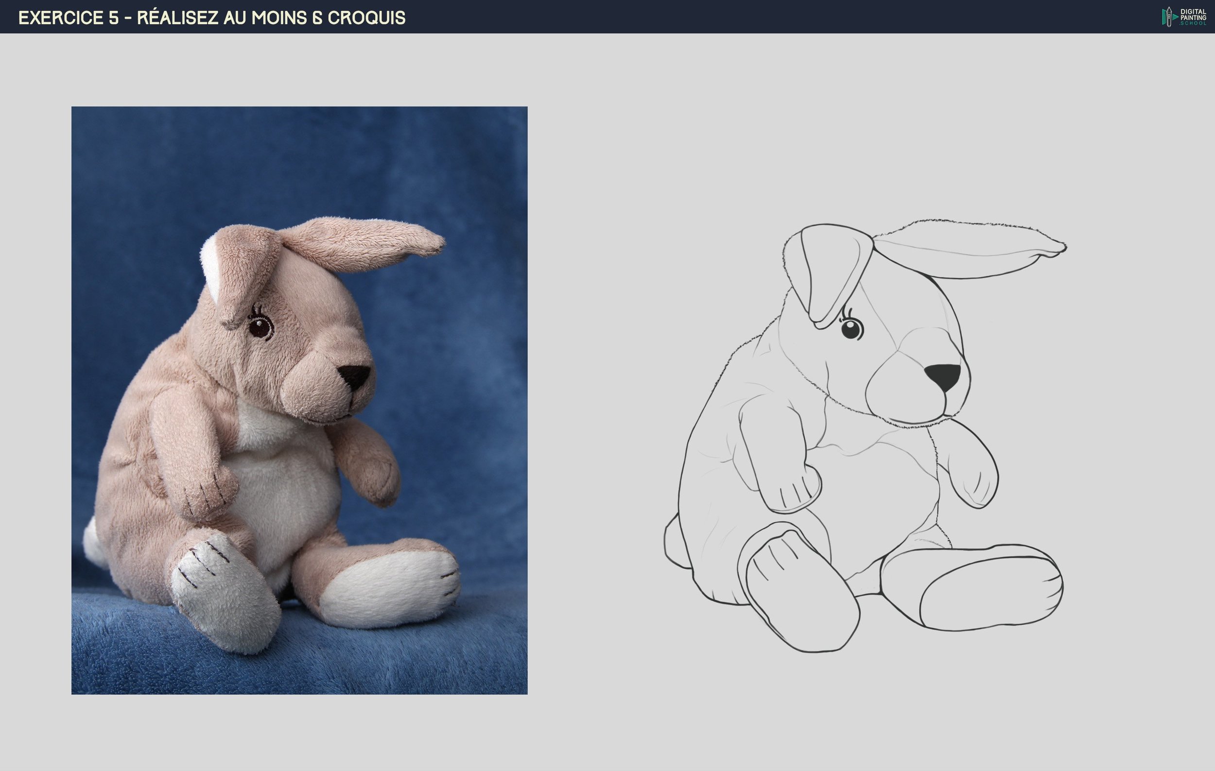 Croquis Lapin final.jpg