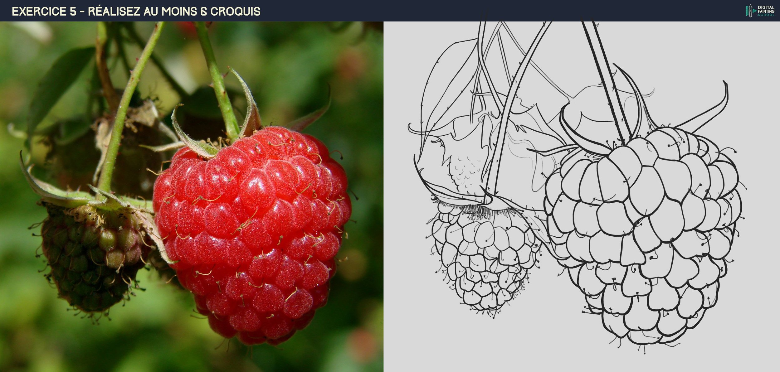DPS-Prog-1-2-exercice5.4 framboises.jpg
