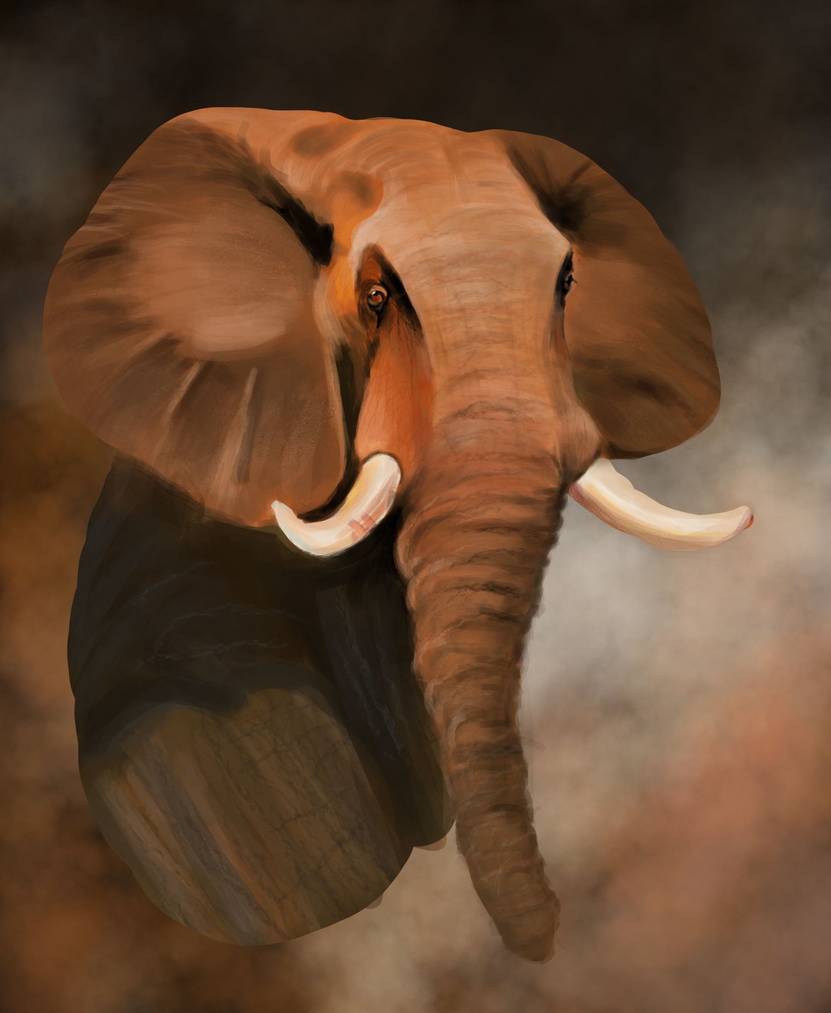 Etude_Elephant_Rurukan_Detail et texture_2.jpg