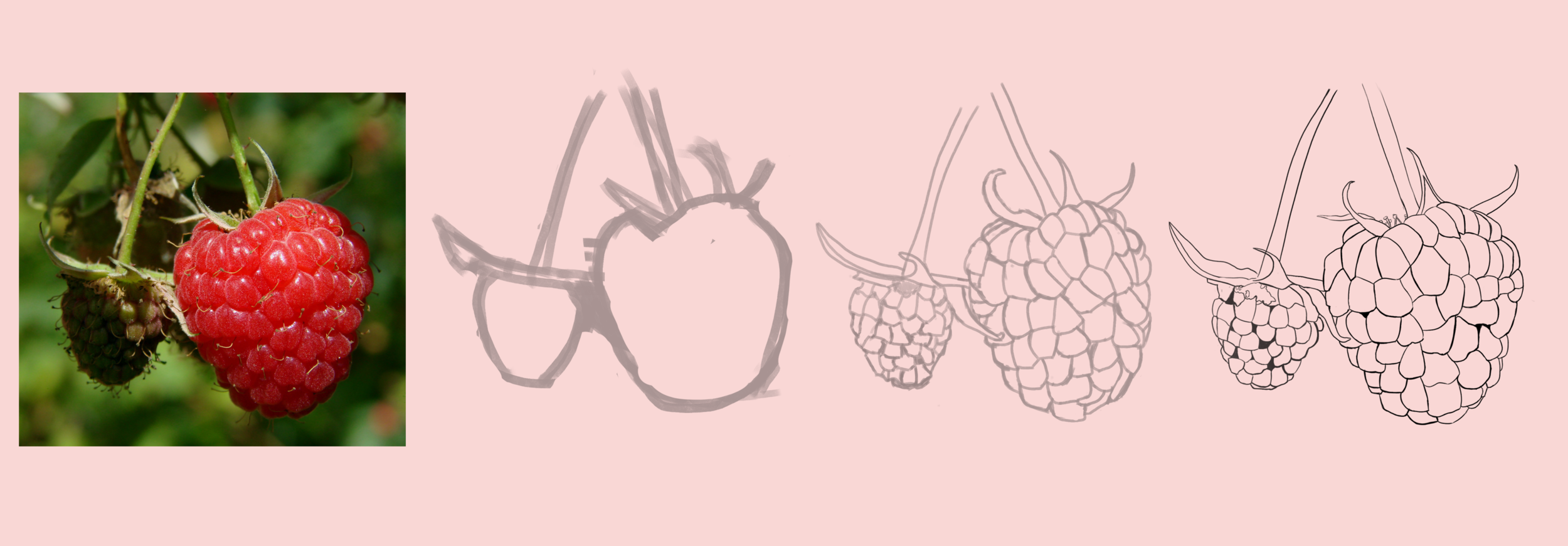 Framboise workflow.png