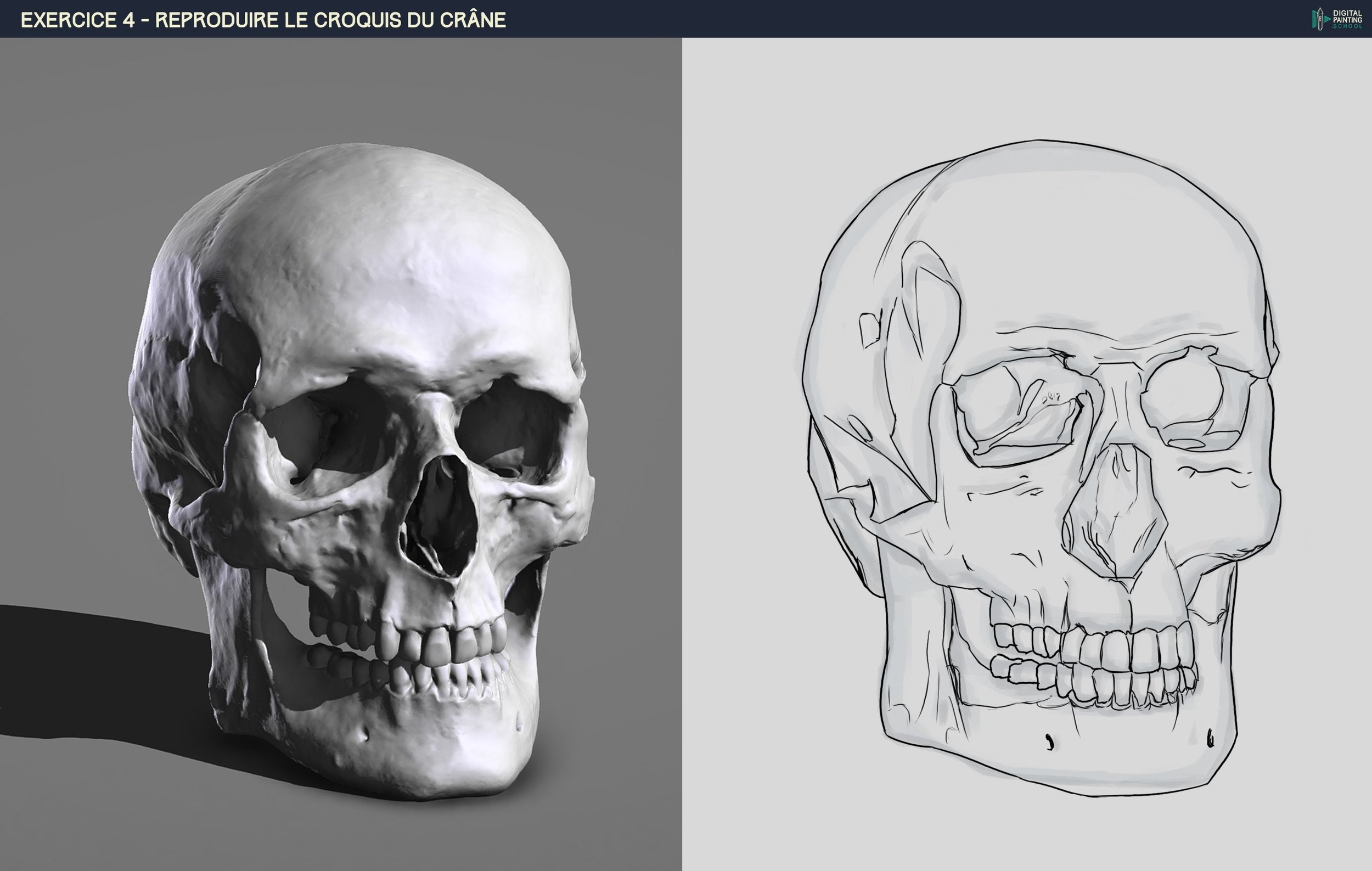 DPS-Prog-1-2-2-démo-crane-croquis +.jpg