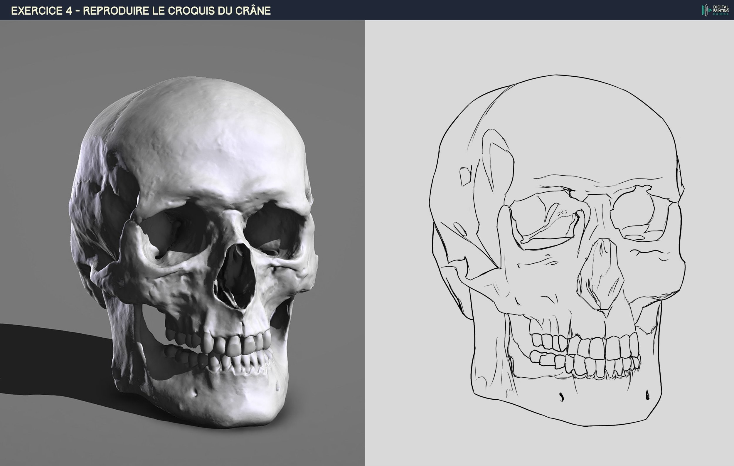 DPS-Prog-1-2-2-démo-crane-croquis final.jpg