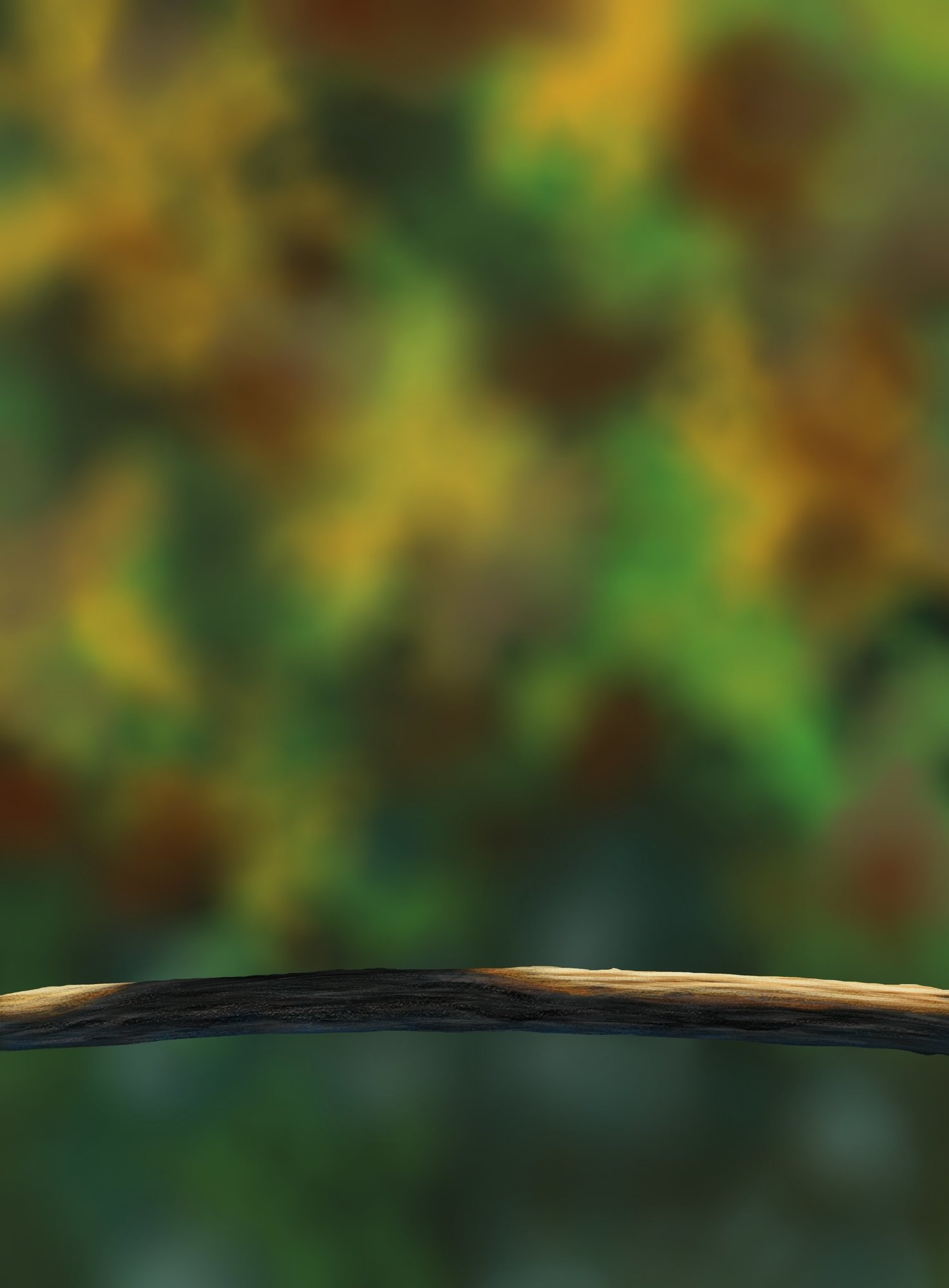 DPS Prog-1-1-Exercice5-Oiseau-Commencement.jpg