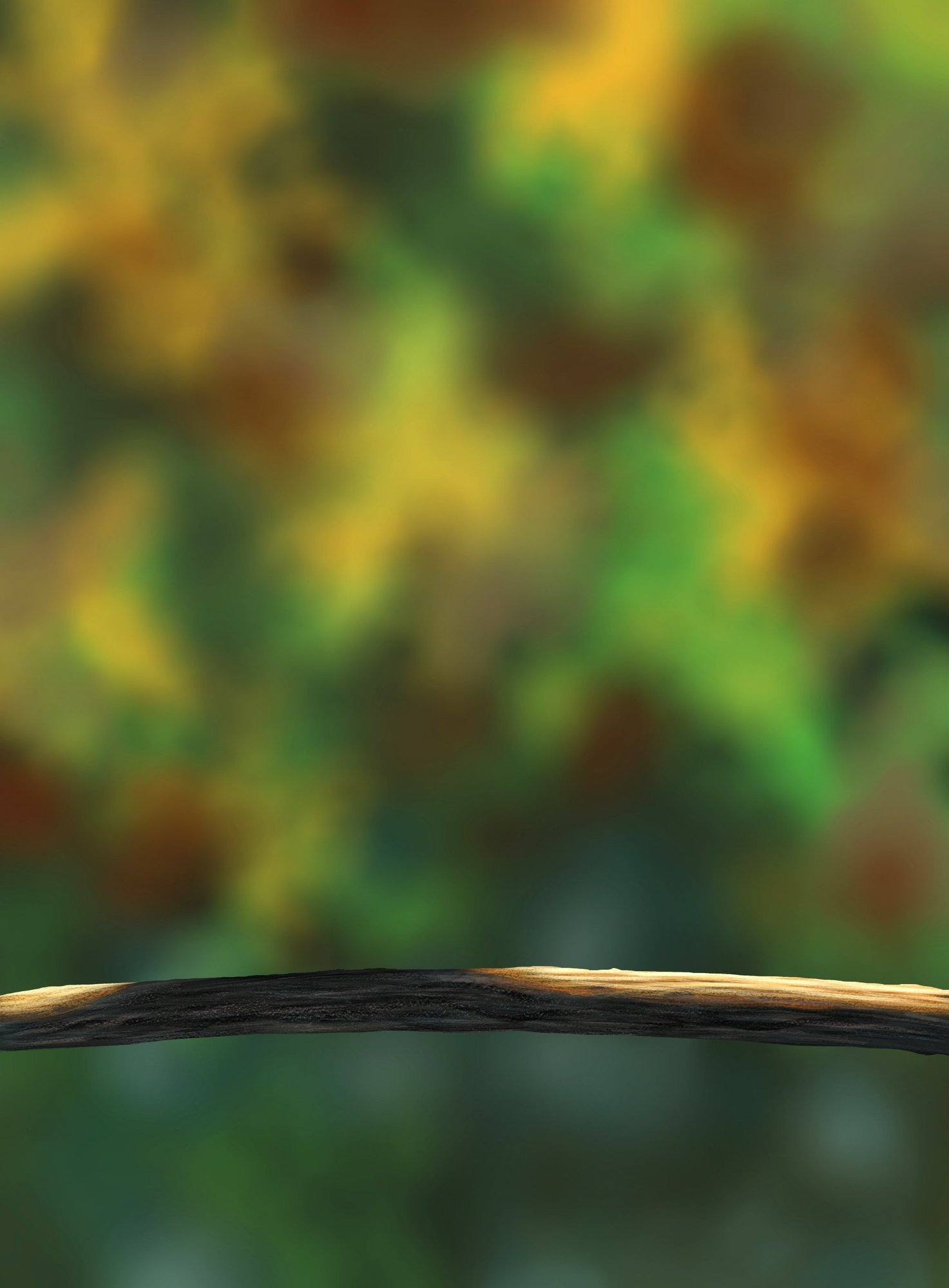 DPS Prog-1-1-Exercice5-Oiseau-Commencement.jpg