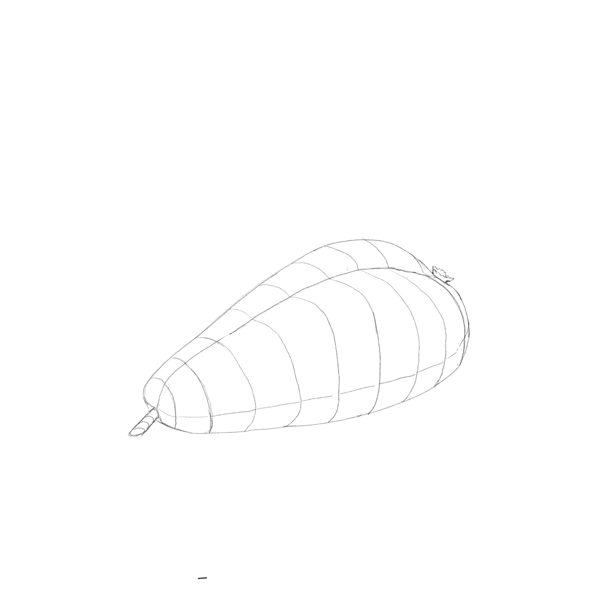 POIRE.png