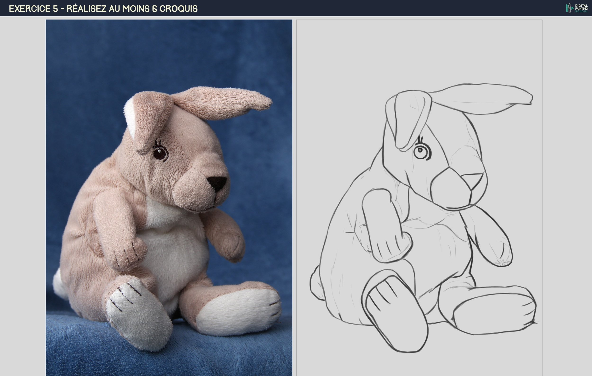 exercice 5 lapin croquis final.jpg