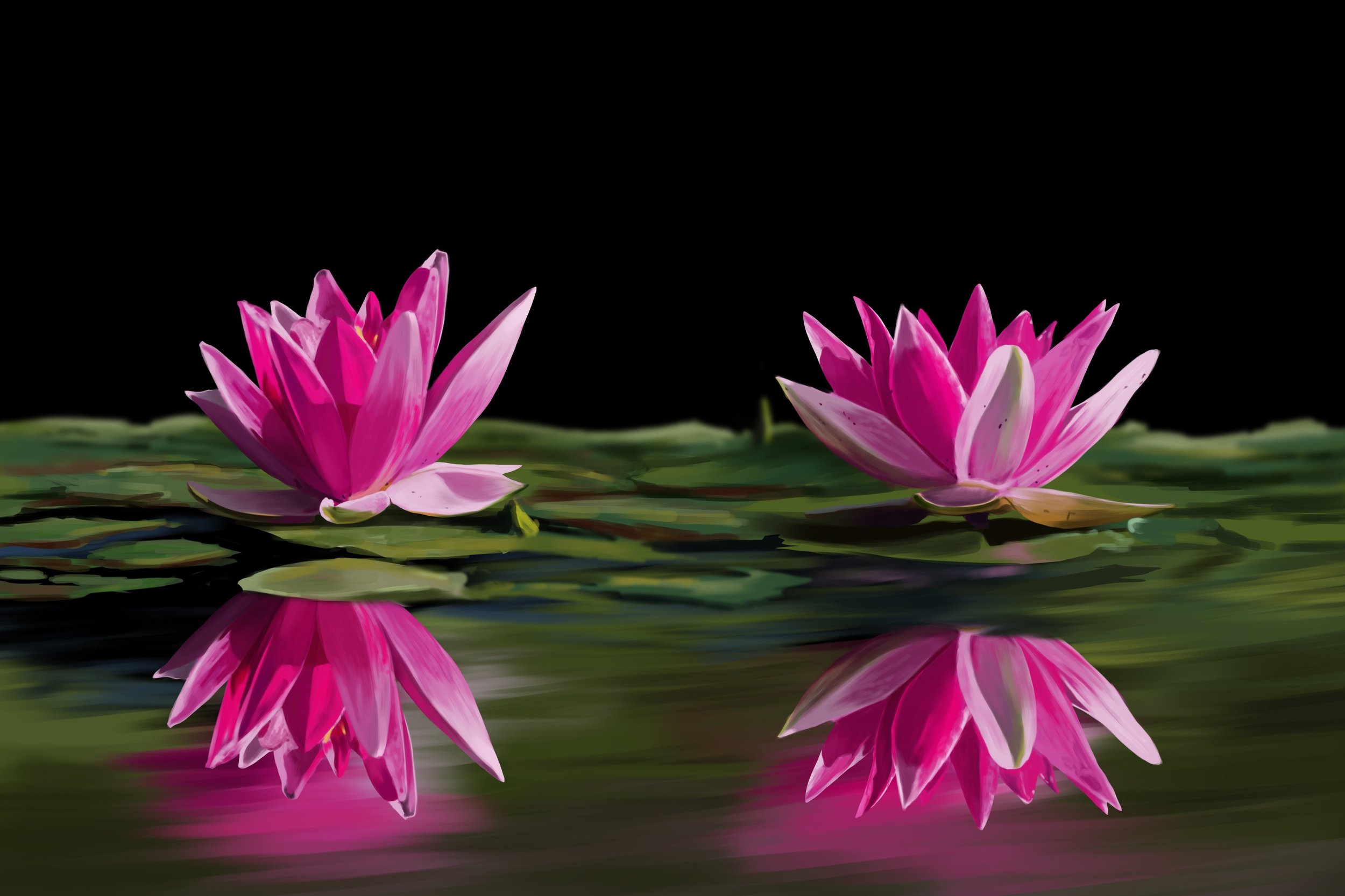 nénuphar lasso 2023 .jpg