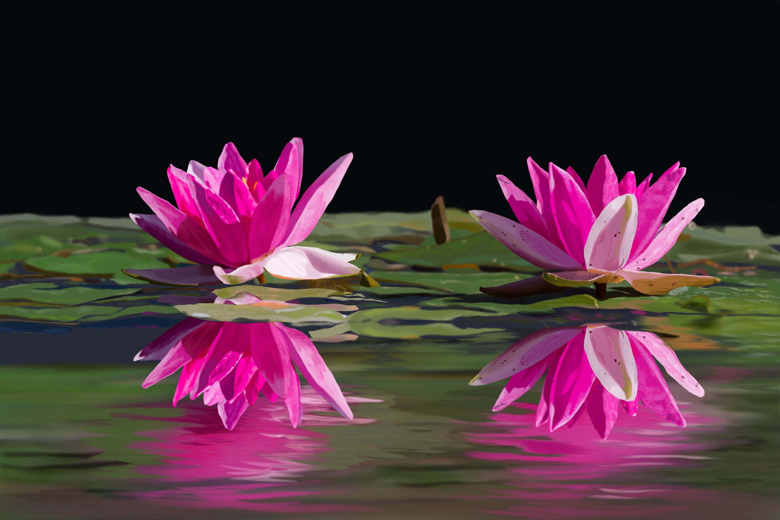 photo_exercice_lasso3-optionnel copie.png