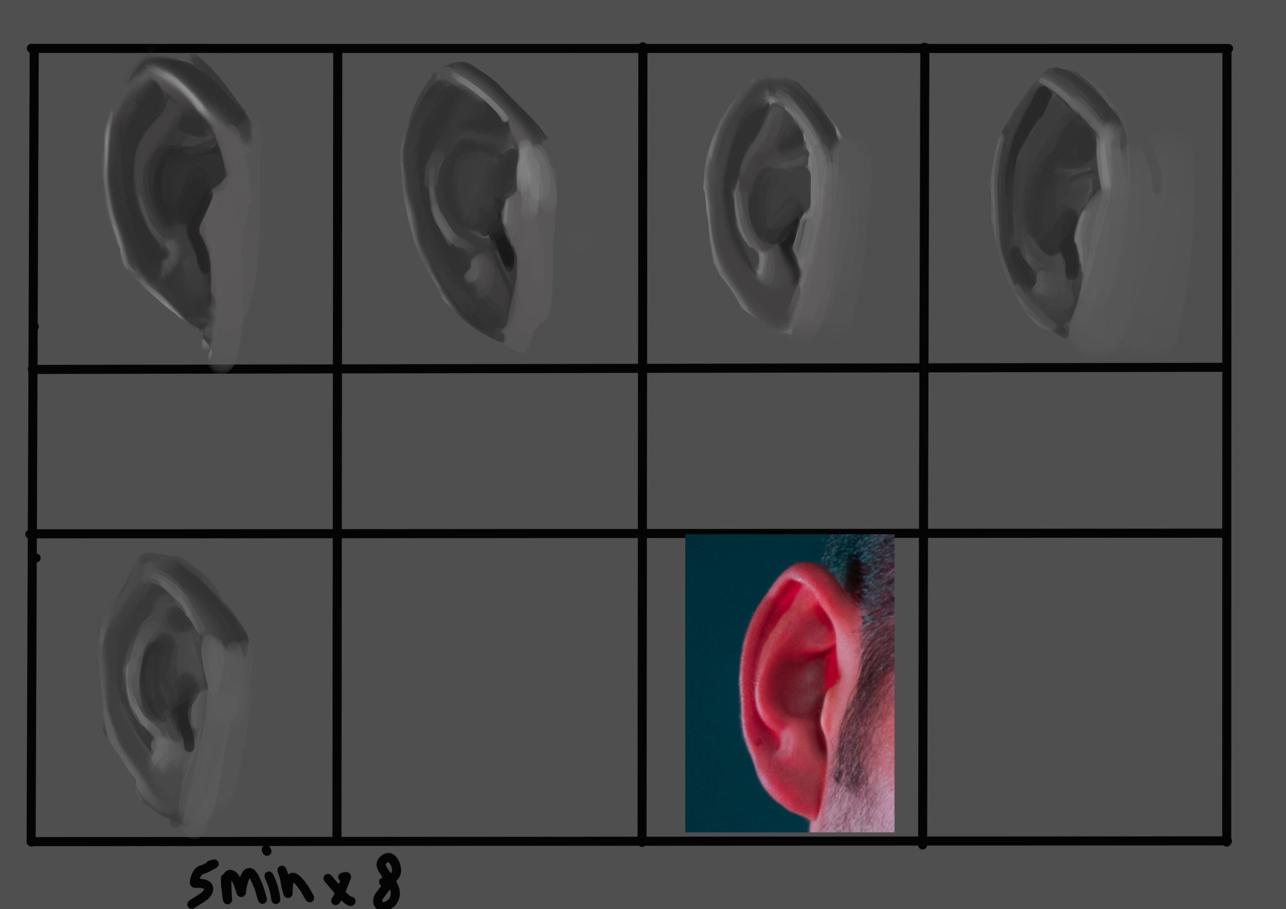 5x8 oreilles.jpg