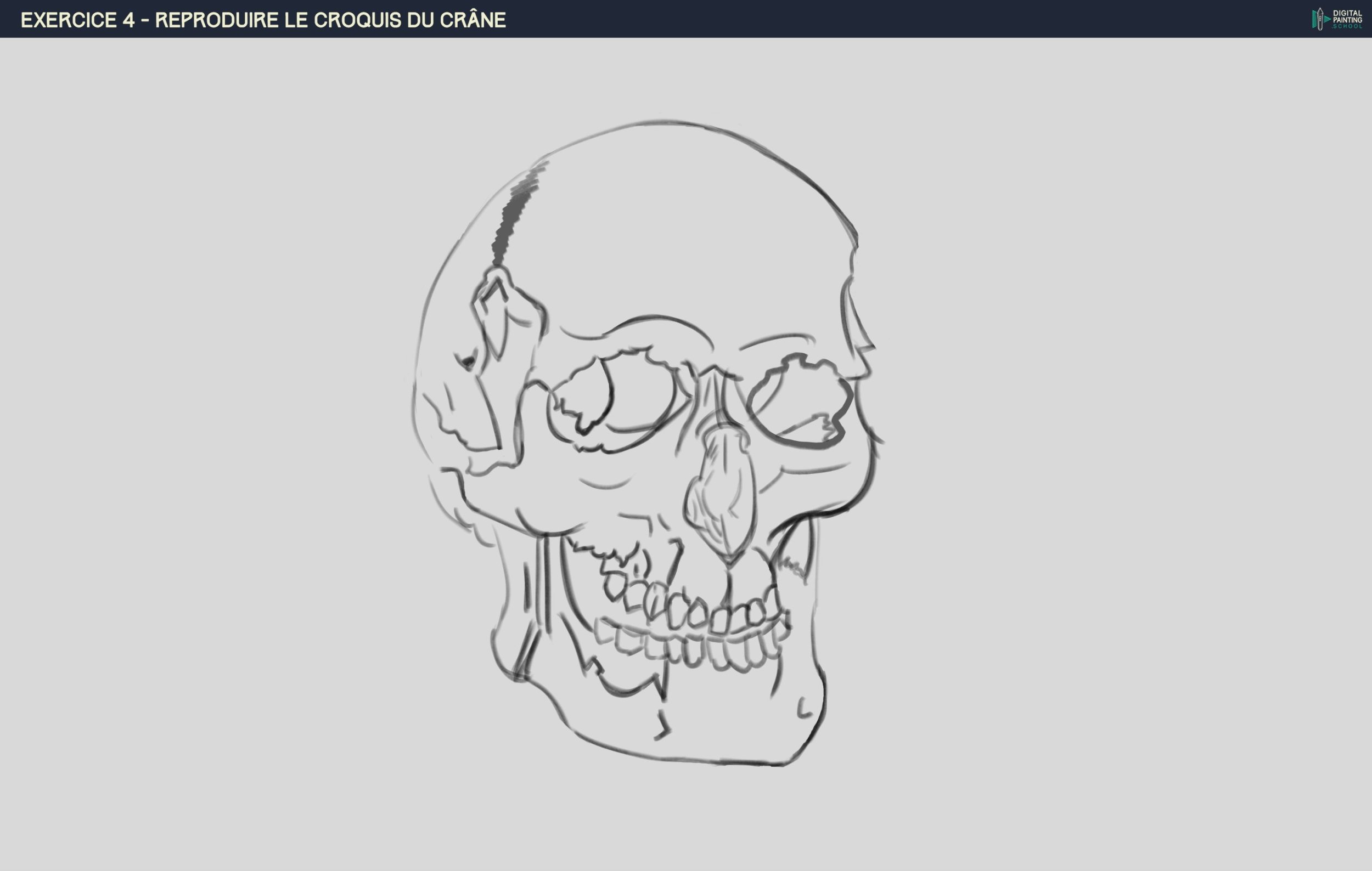 DPS-Prog-1-2-2-démo-crane-croquis Karoll.jpg