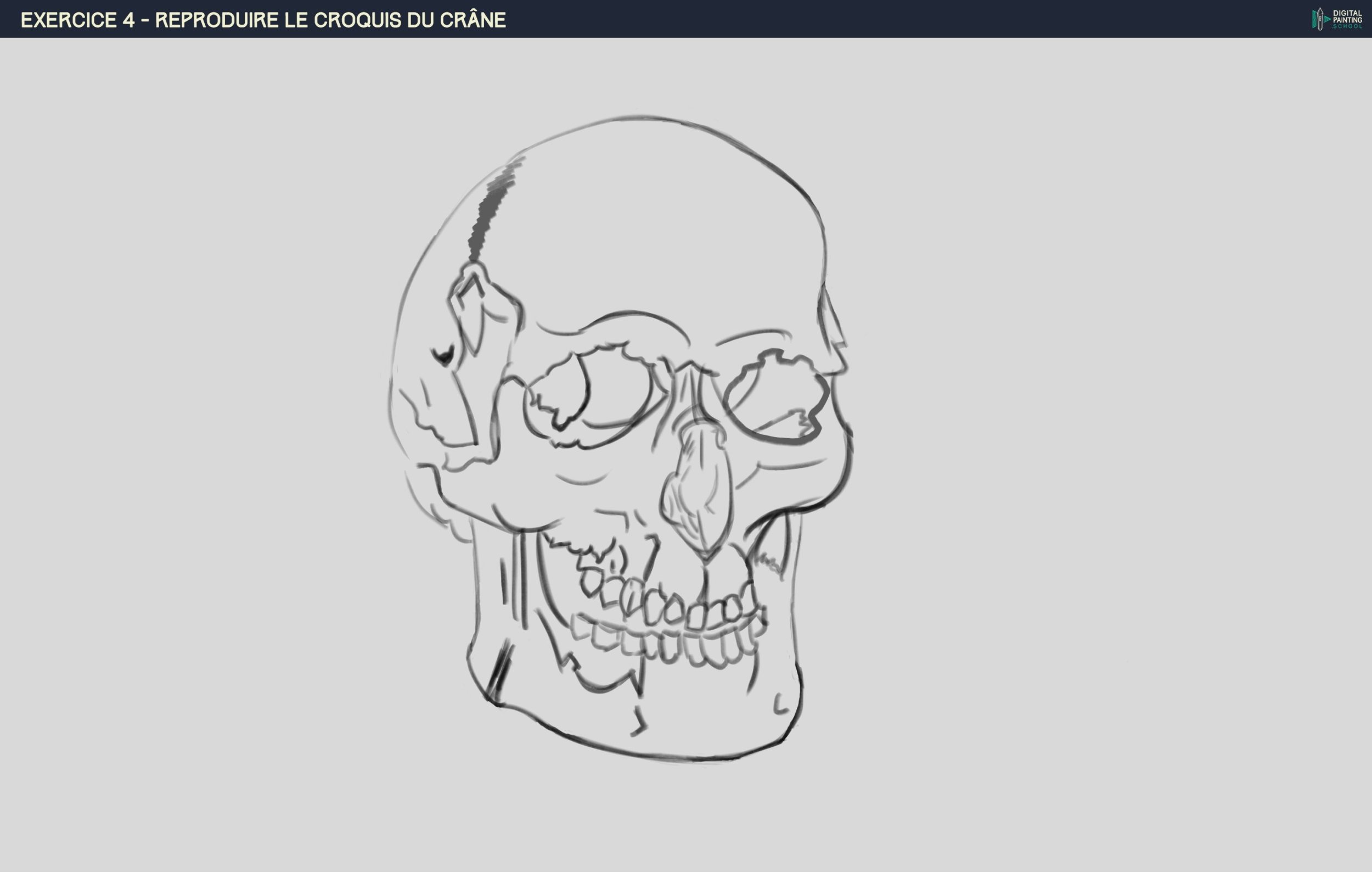DPS-Prog-1-2-2-démo-crane-croquis Karoll_v2.jpg