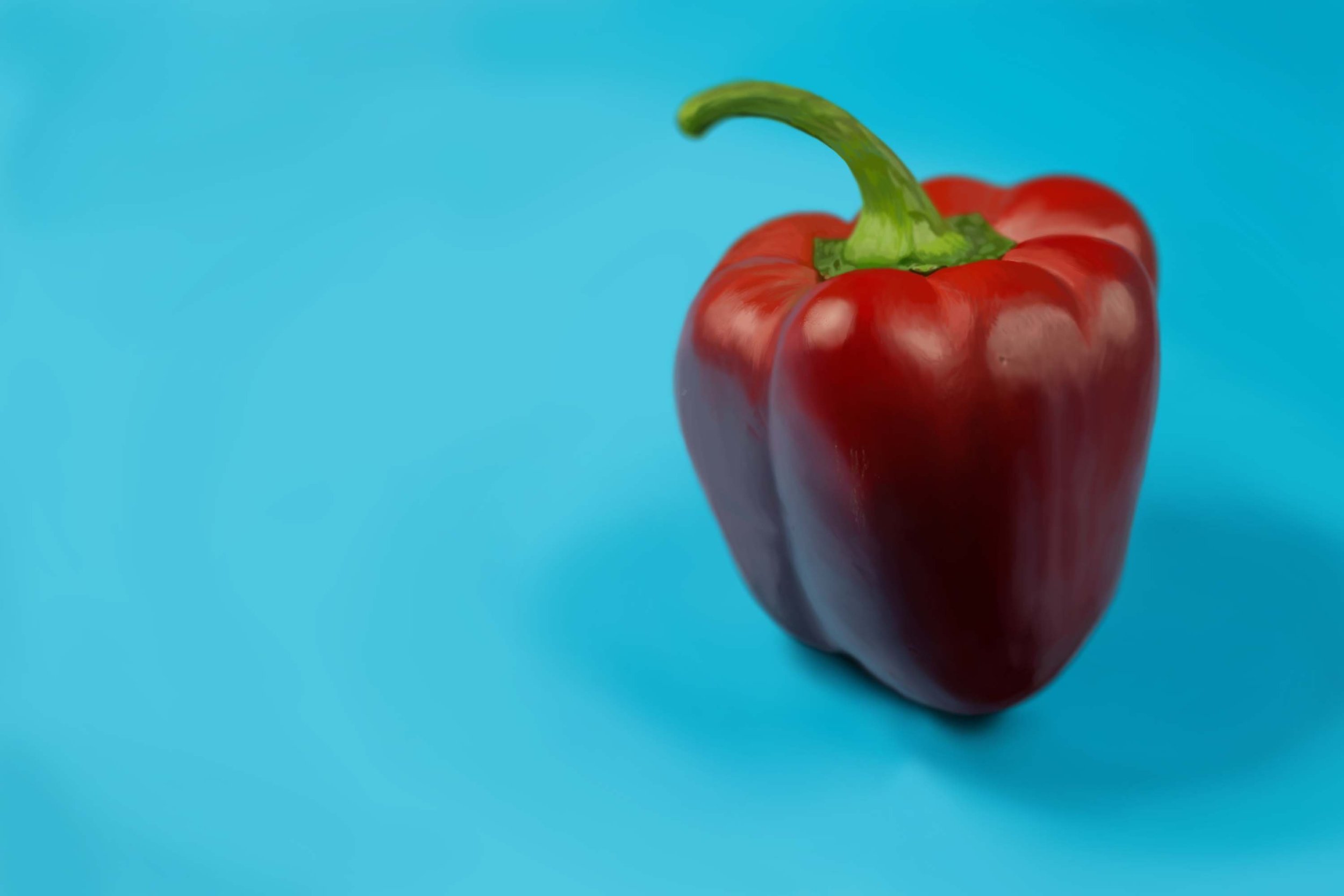 Exercice4-etude-photo1 voretiic copie.jpg