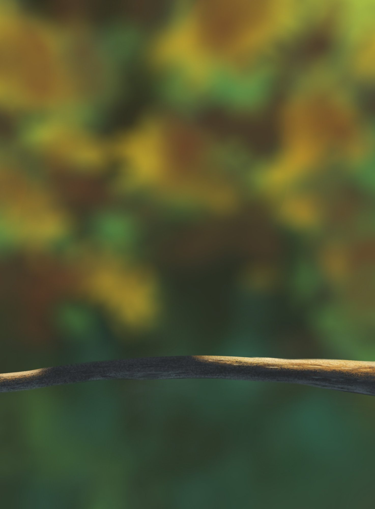 Exercice oisillon.jpg