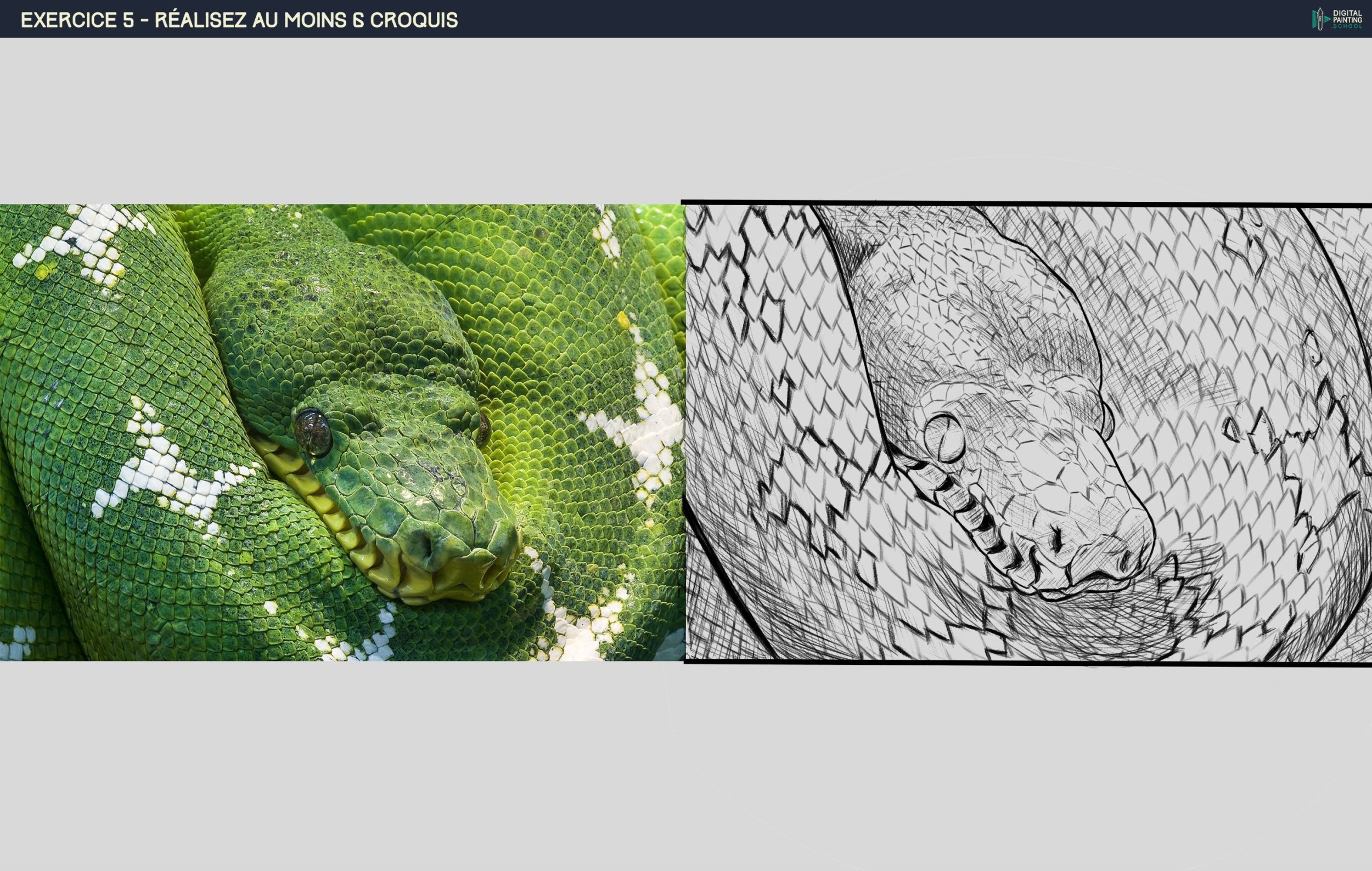 Exo 5 - croquis 4.jpg