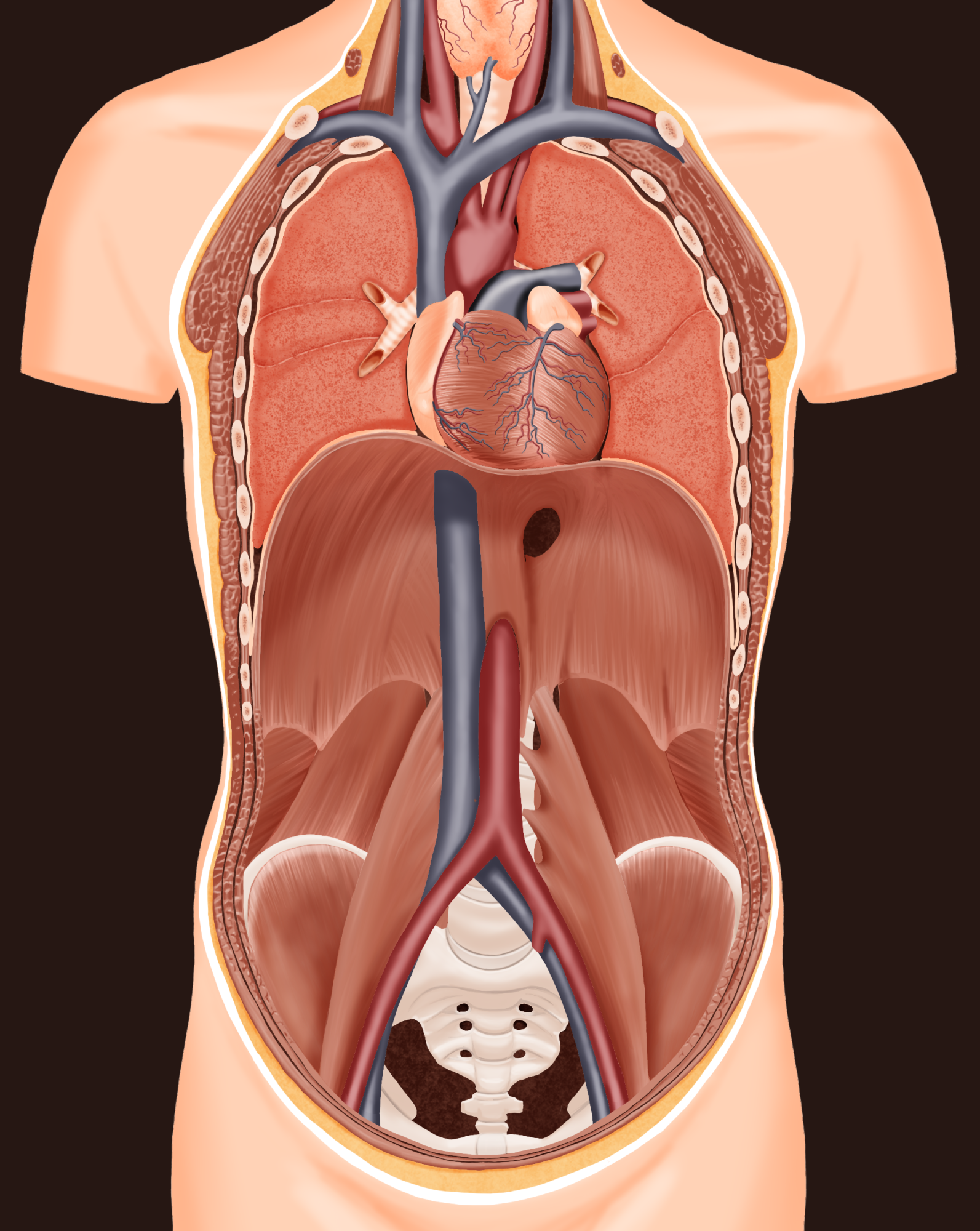 Premier exercice.png