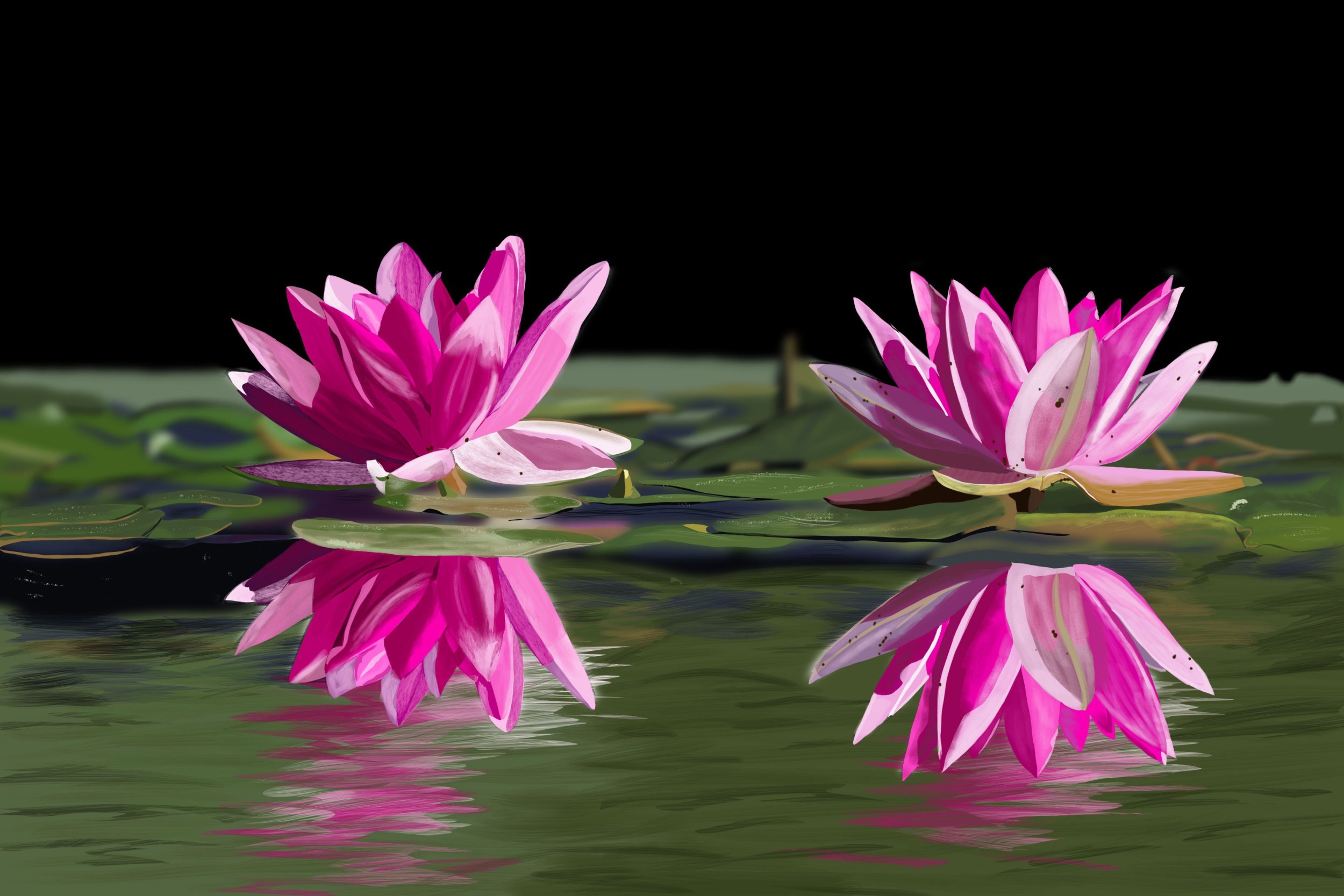 photo_exercice_lasso3-optionnel copie.jpg