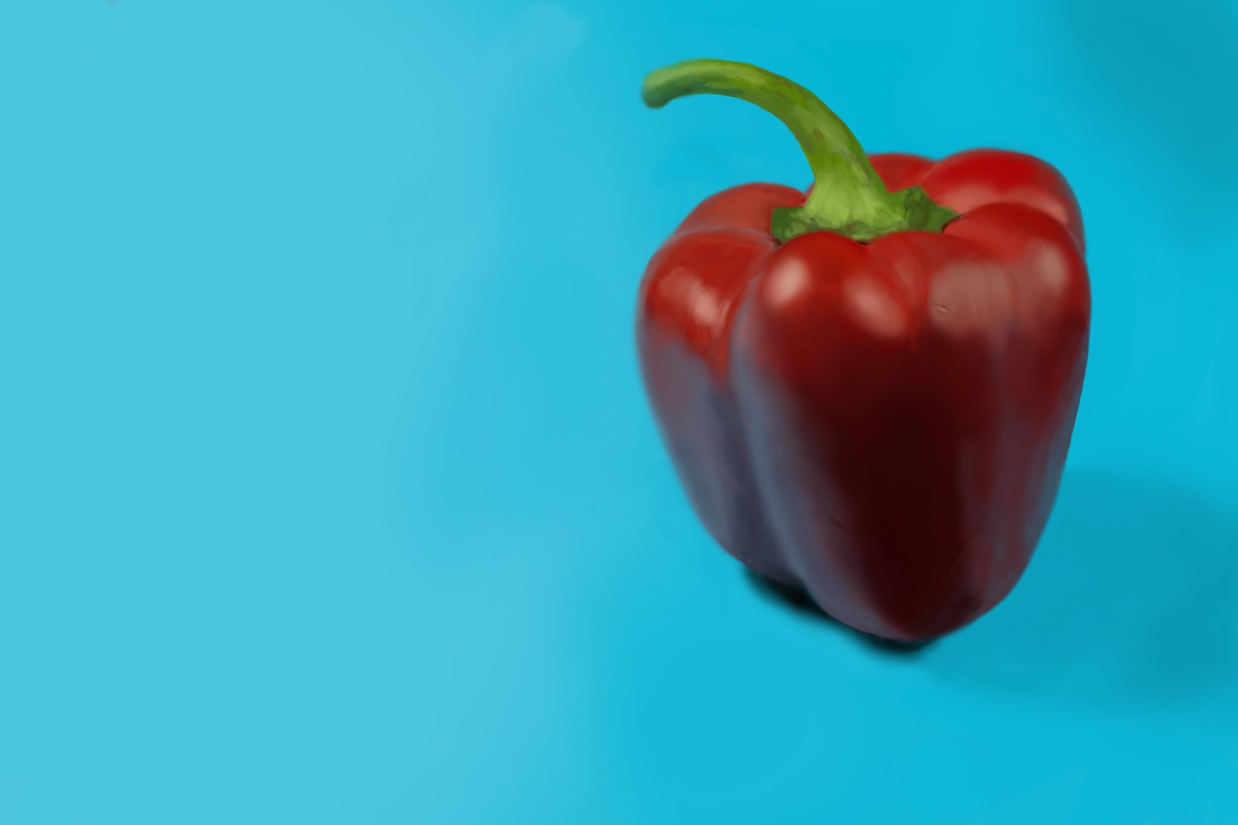 11 final poivron  copy.jpg