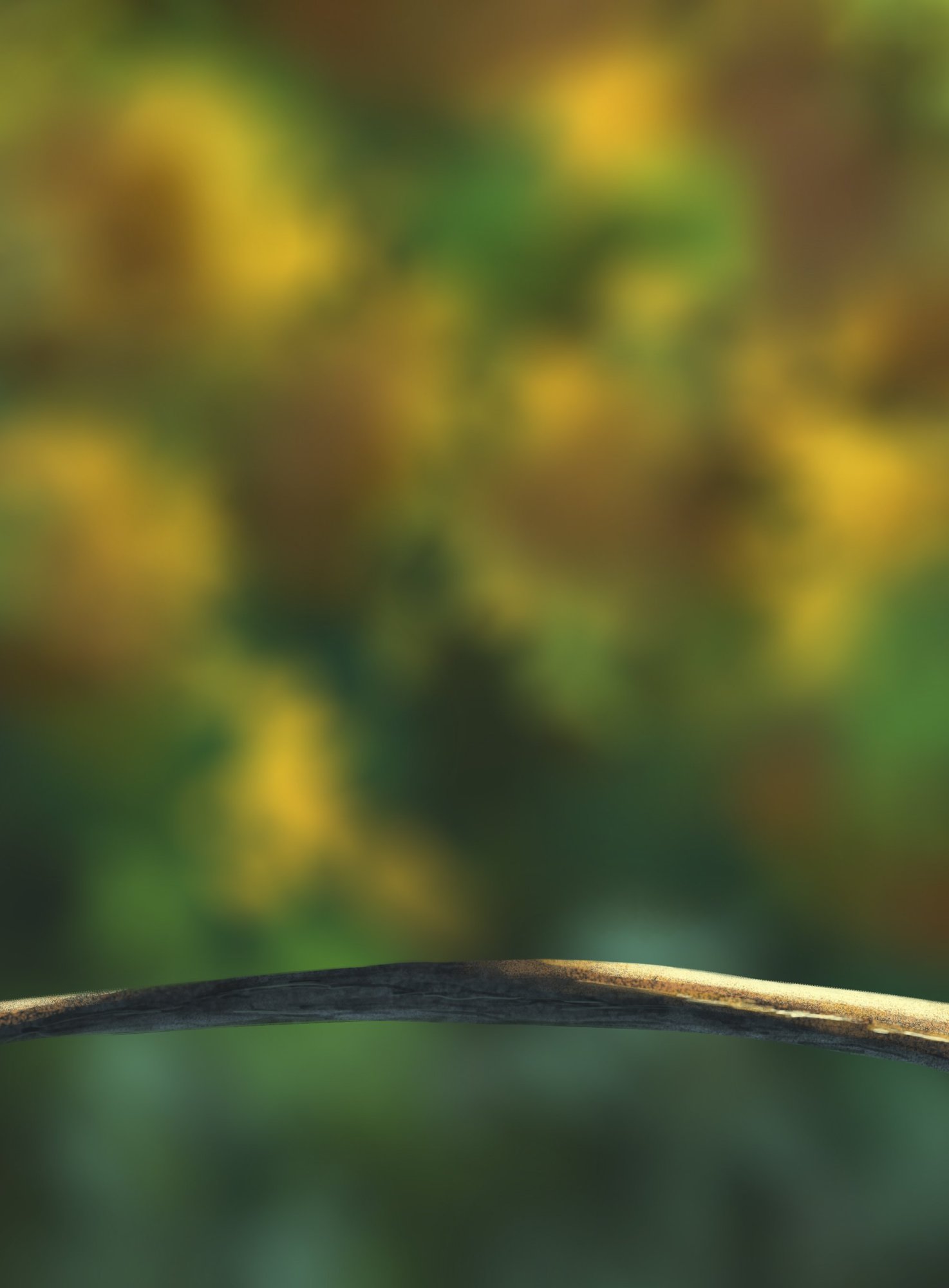 DPS Prog-1-1-Exercice5-Oiseau-Commencement_lysiiem.jpg