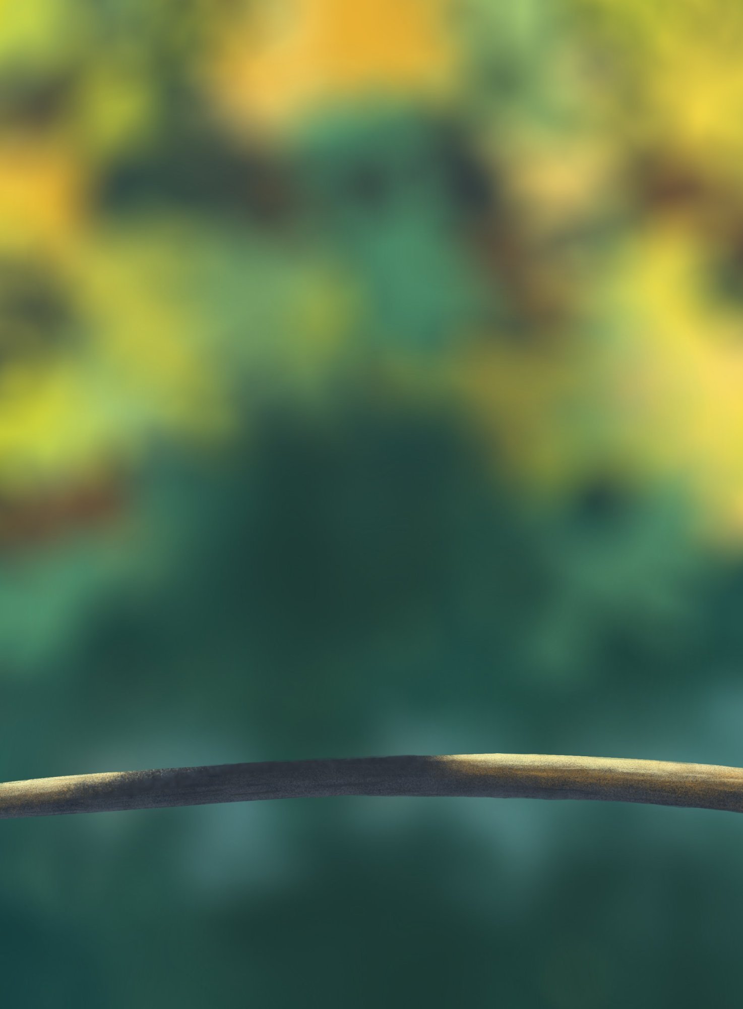 DPS Prog-1-1-Exercice5-Oiseau-Etape1_Chloe.jpg