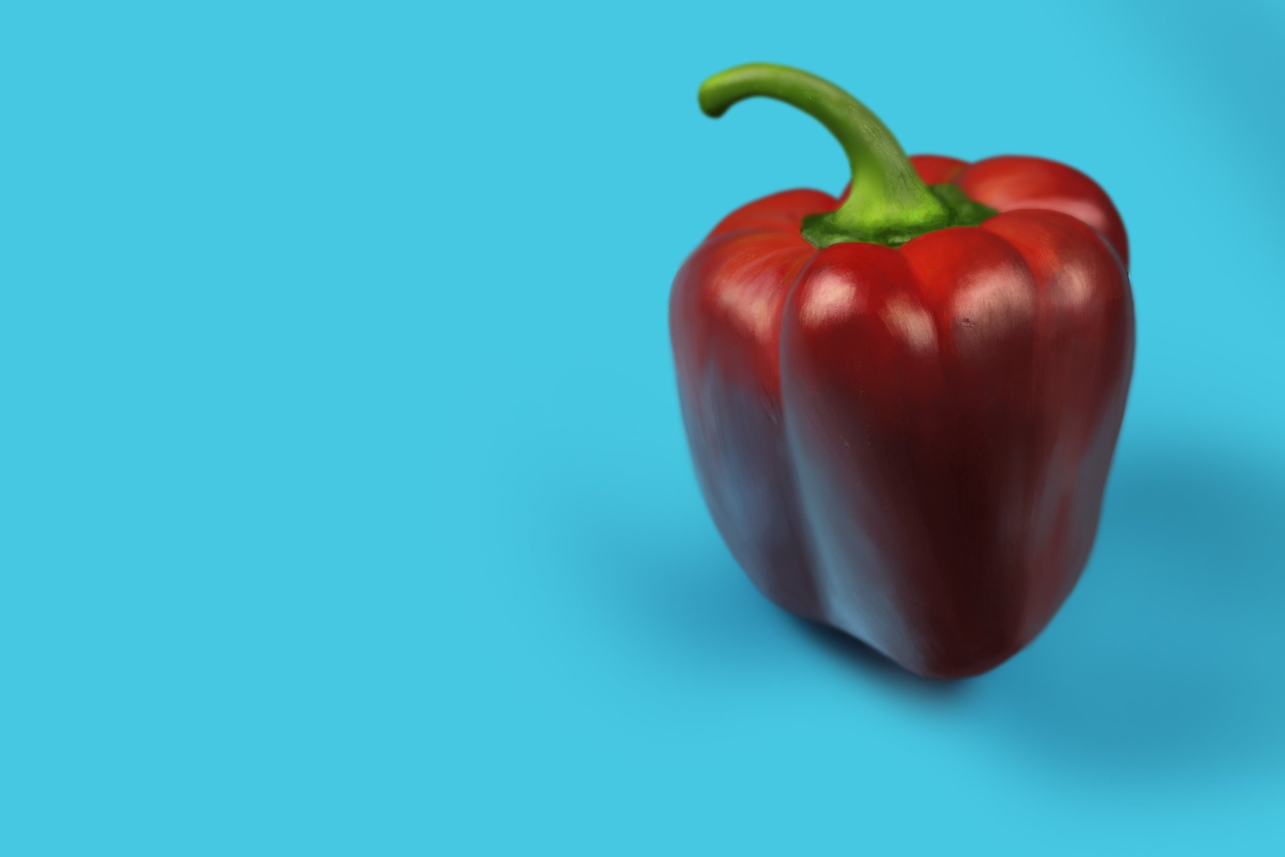 Exercice4-etude-photo1_sans aide_lysiiem_3h43.jpg