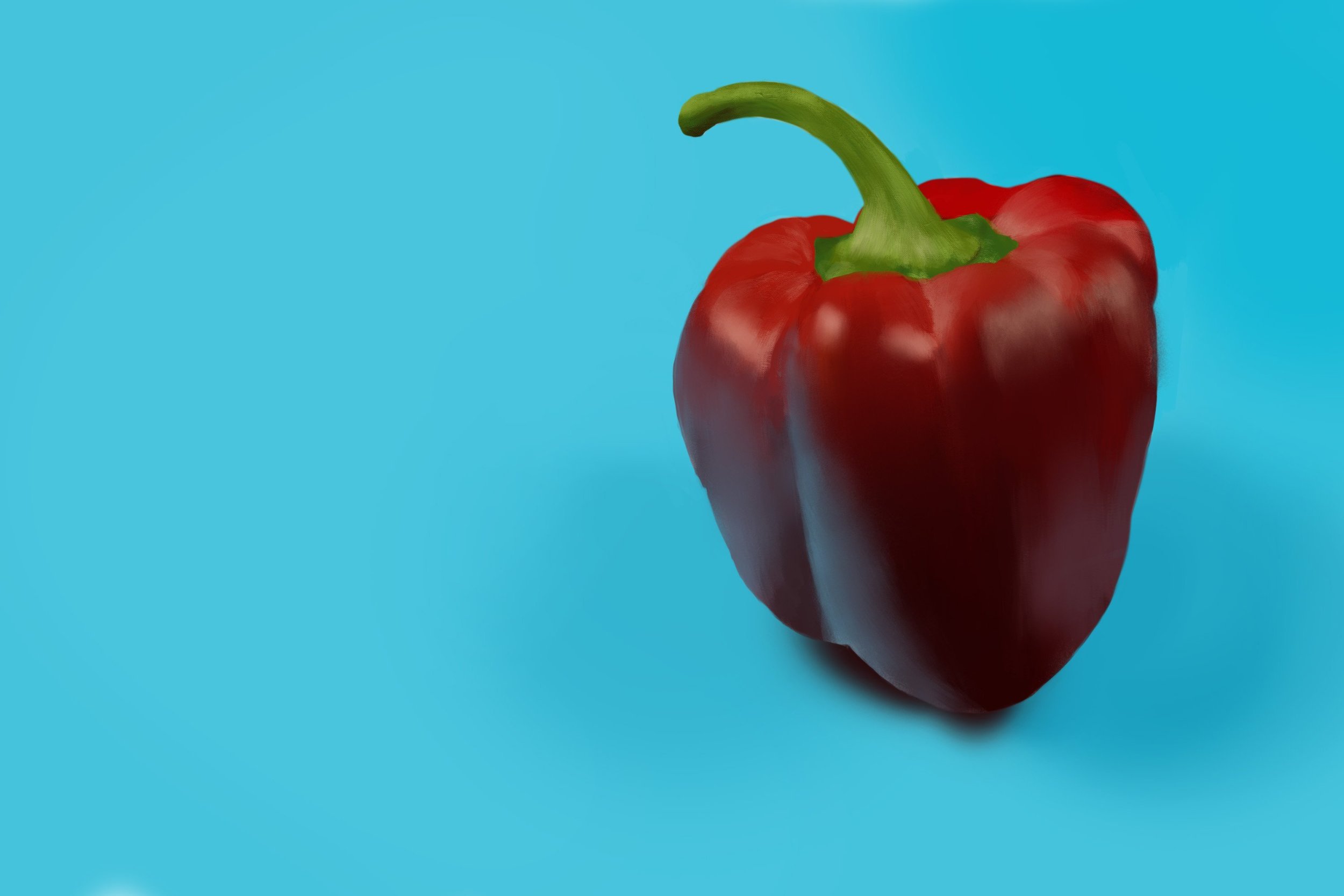 Exercice4-etude-photo1 copie 2.jpg