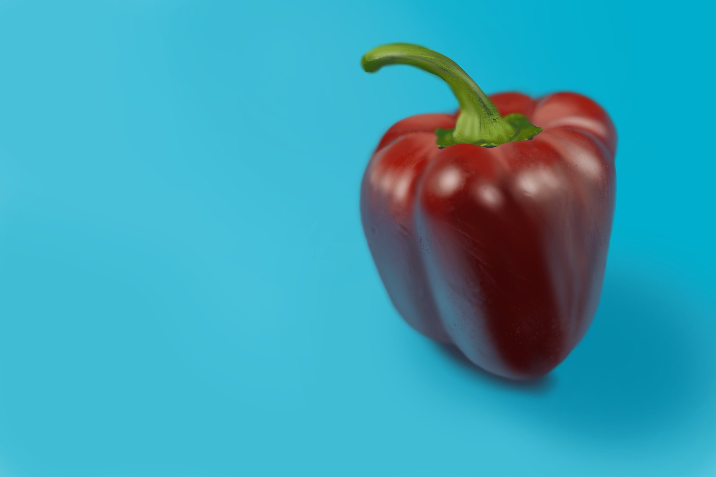 Exercice4-etude-photo1 v2.jpg