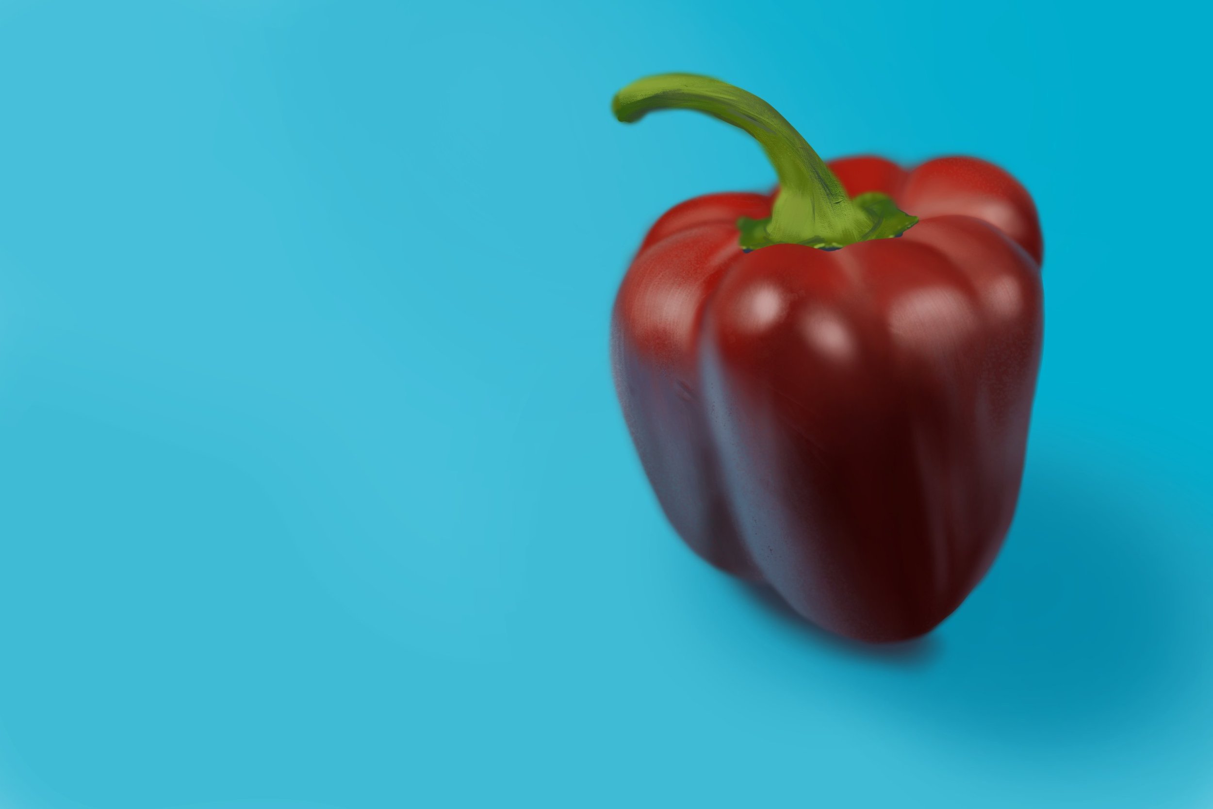 Exercice4-etude-photo1 v3.jpg