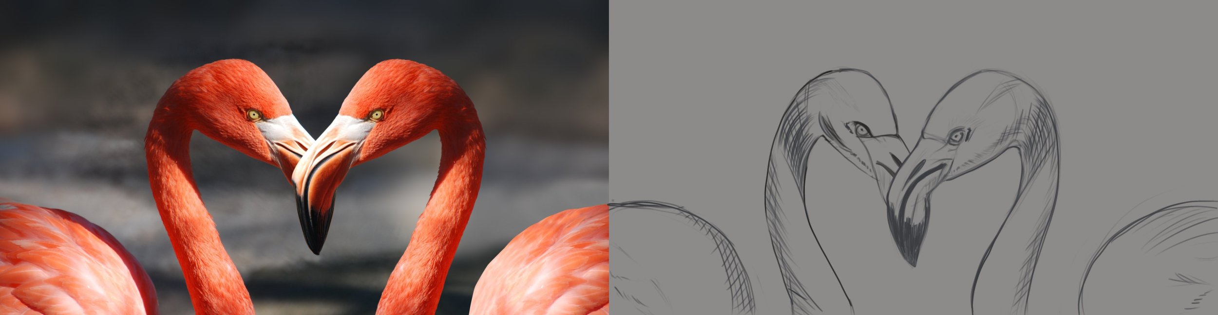 flamingo-valentine-heart-valentine-s-day-39627 2.jpg