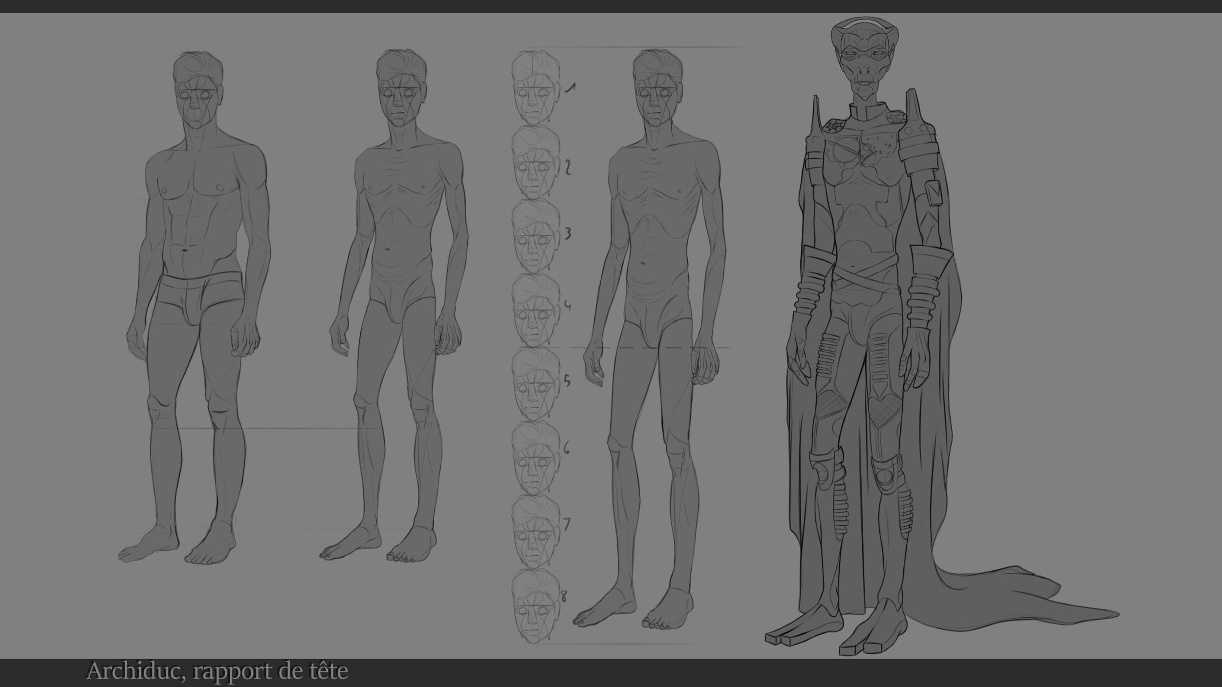 04 Archiduc-rapport-de-tête.jpg