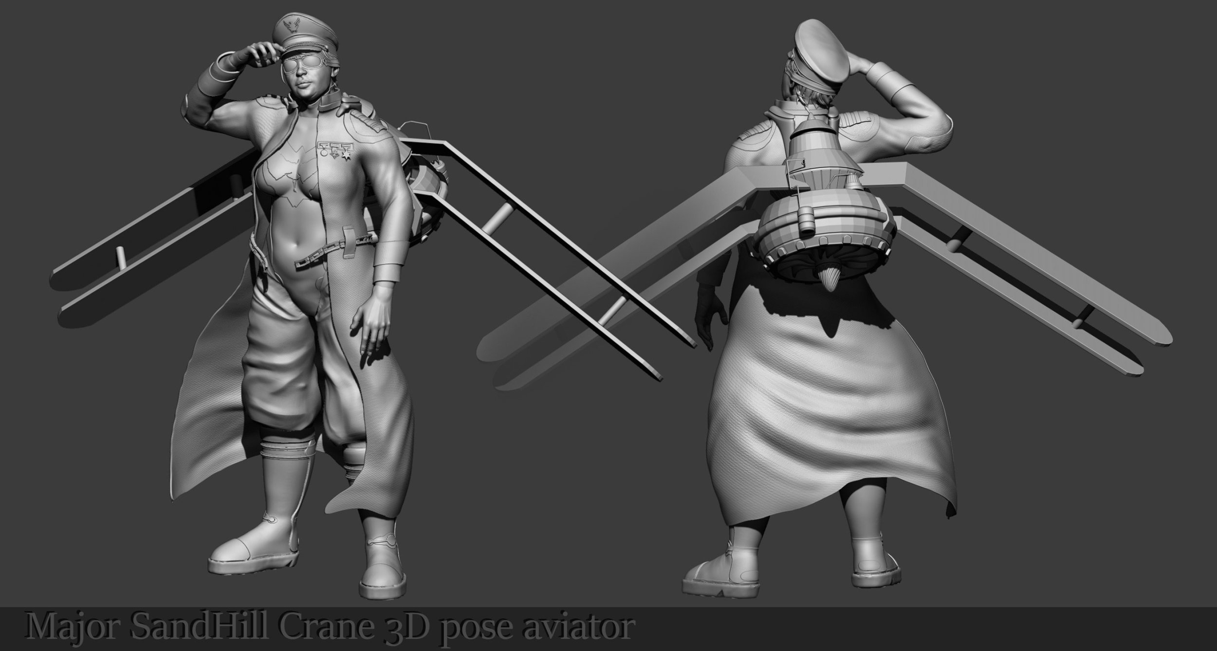 5 MSC-pose-aviator-3d.jpg