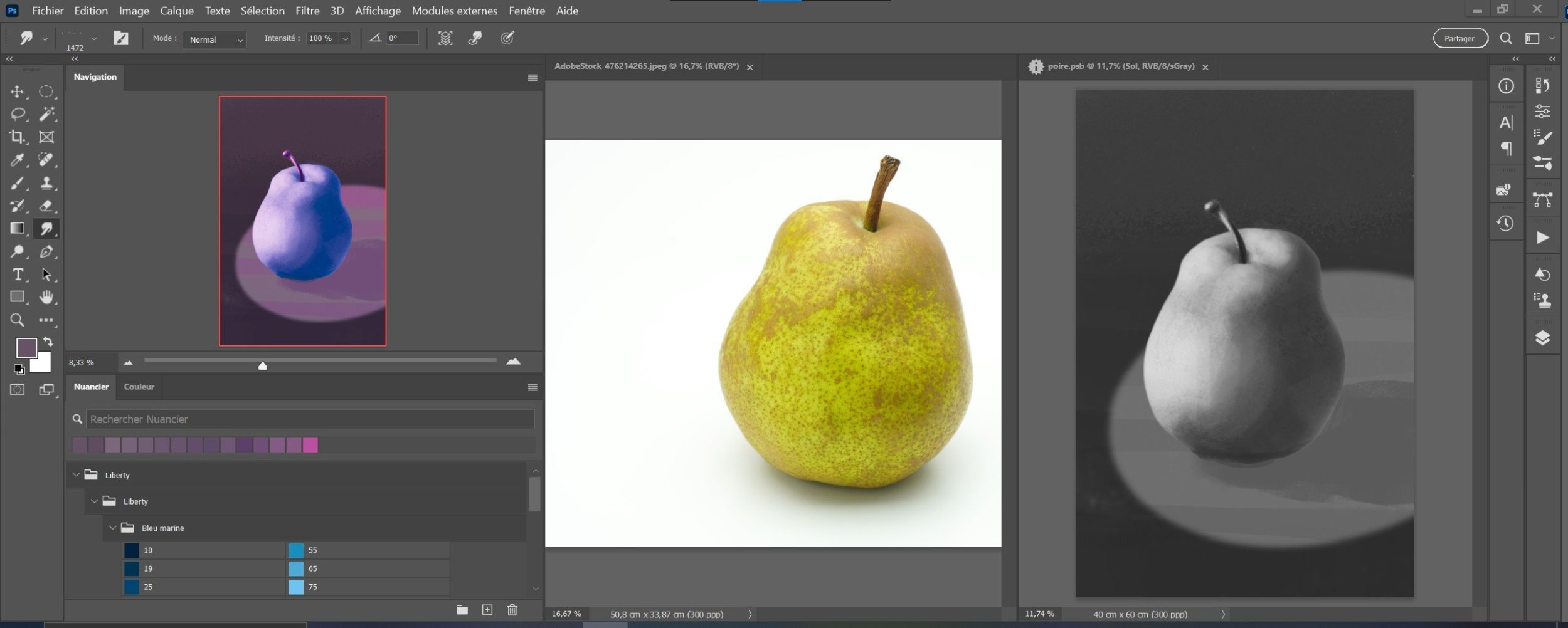 Capture d’écran 2023-07-17 142454.jpg