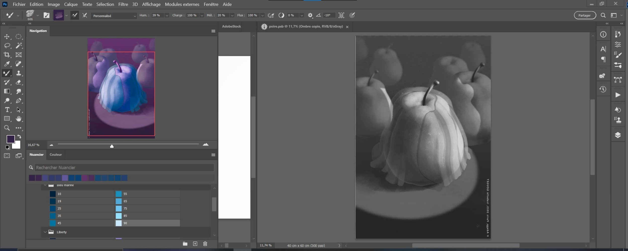 Capture d’écran 2023-07-17 183315.jpg