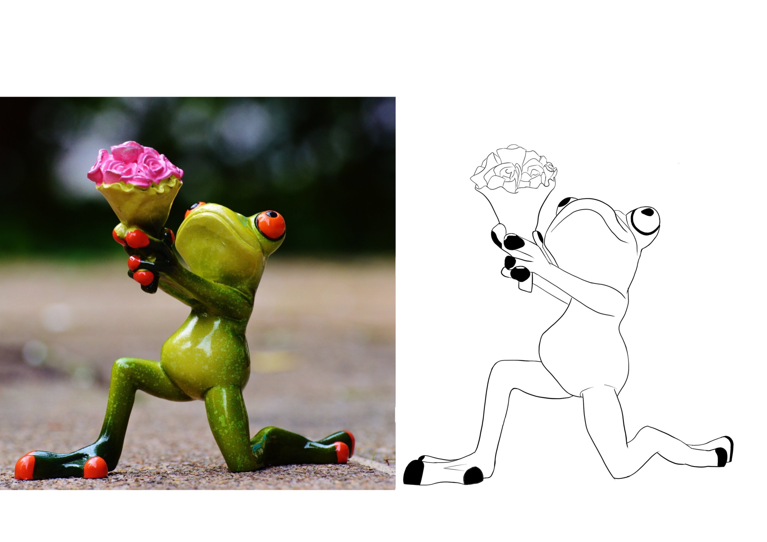 Croquis grenouille.jpg