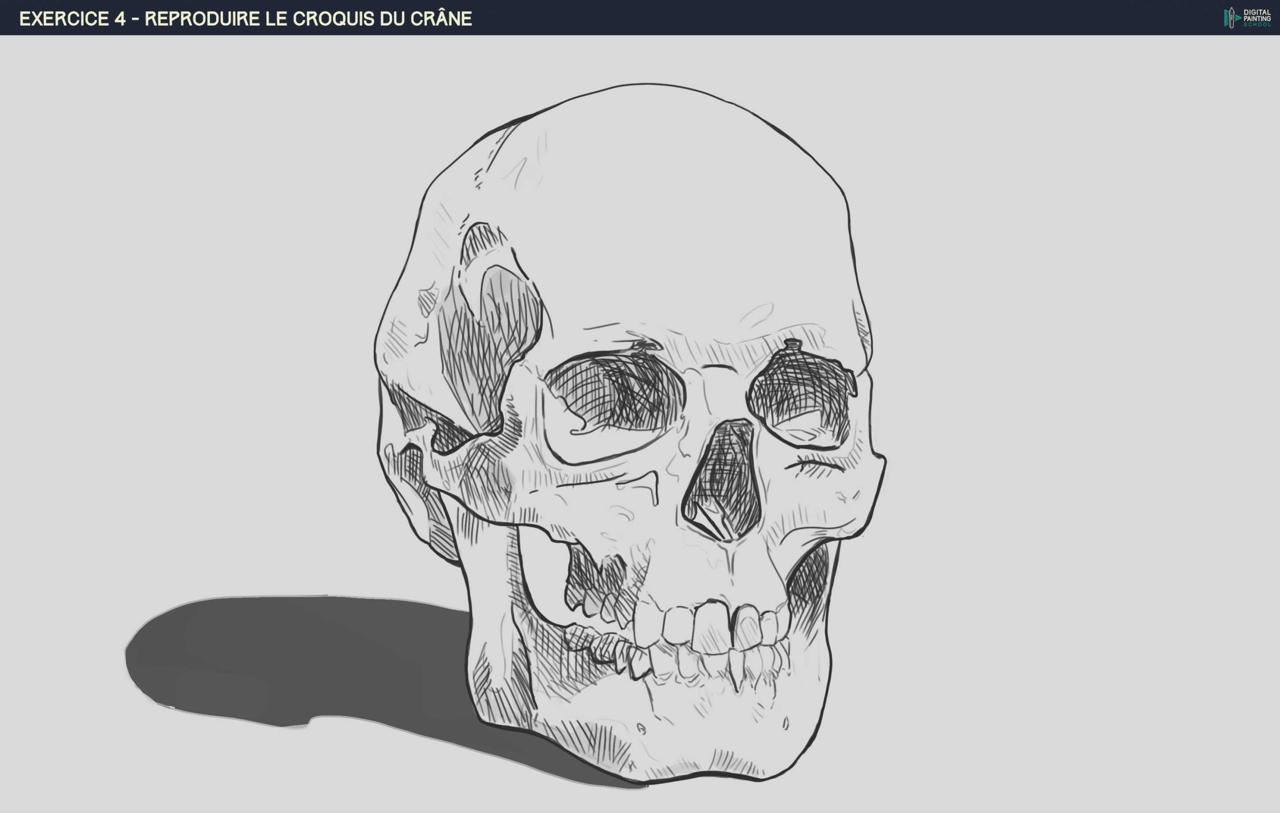 DPS-Prog-1-2-2-démo-crane-croquis avec rature lance.jpg