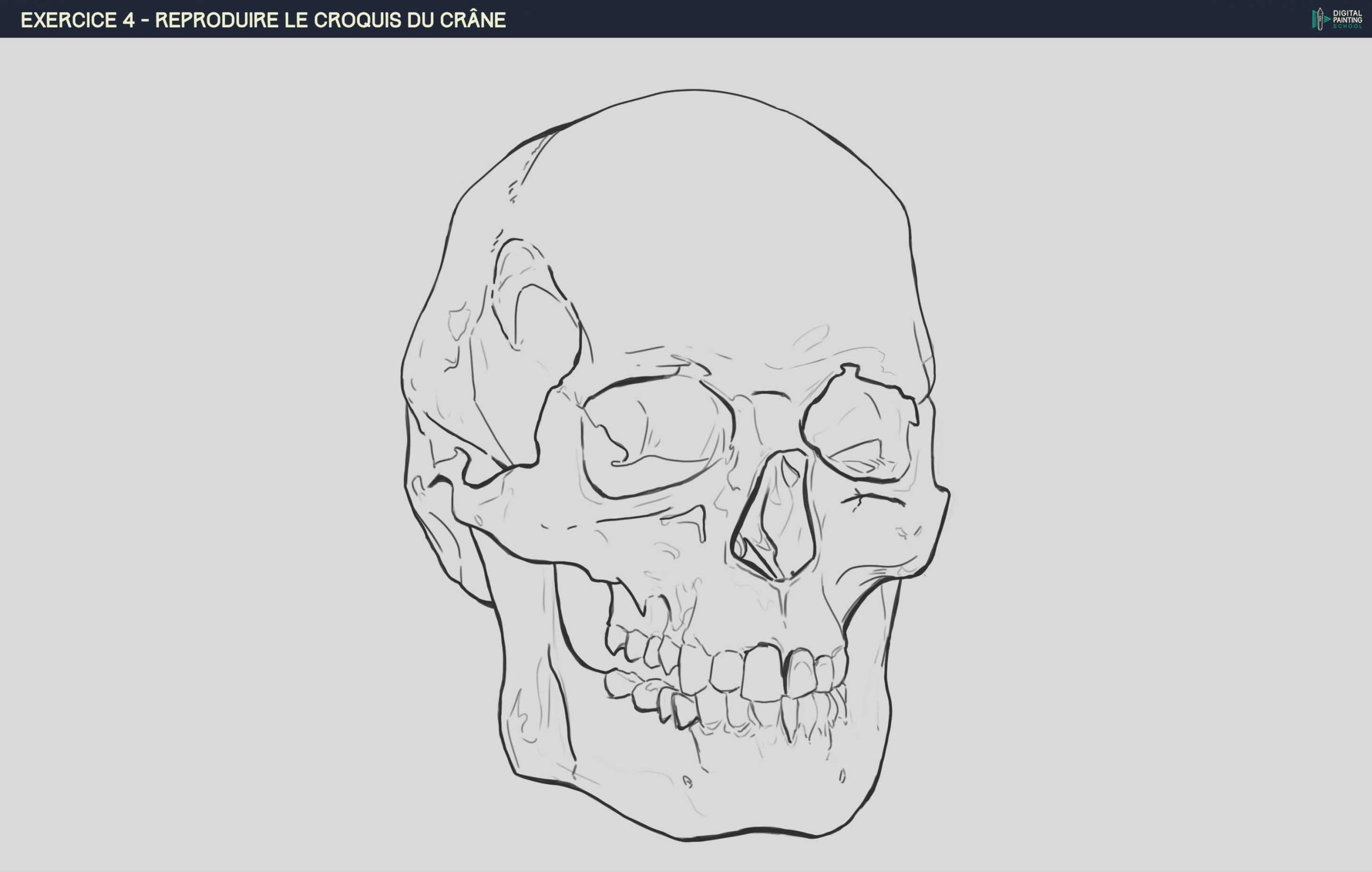 DPS-Prog-1-2-2-démo-crane-croquis sans rature lance.jpg
