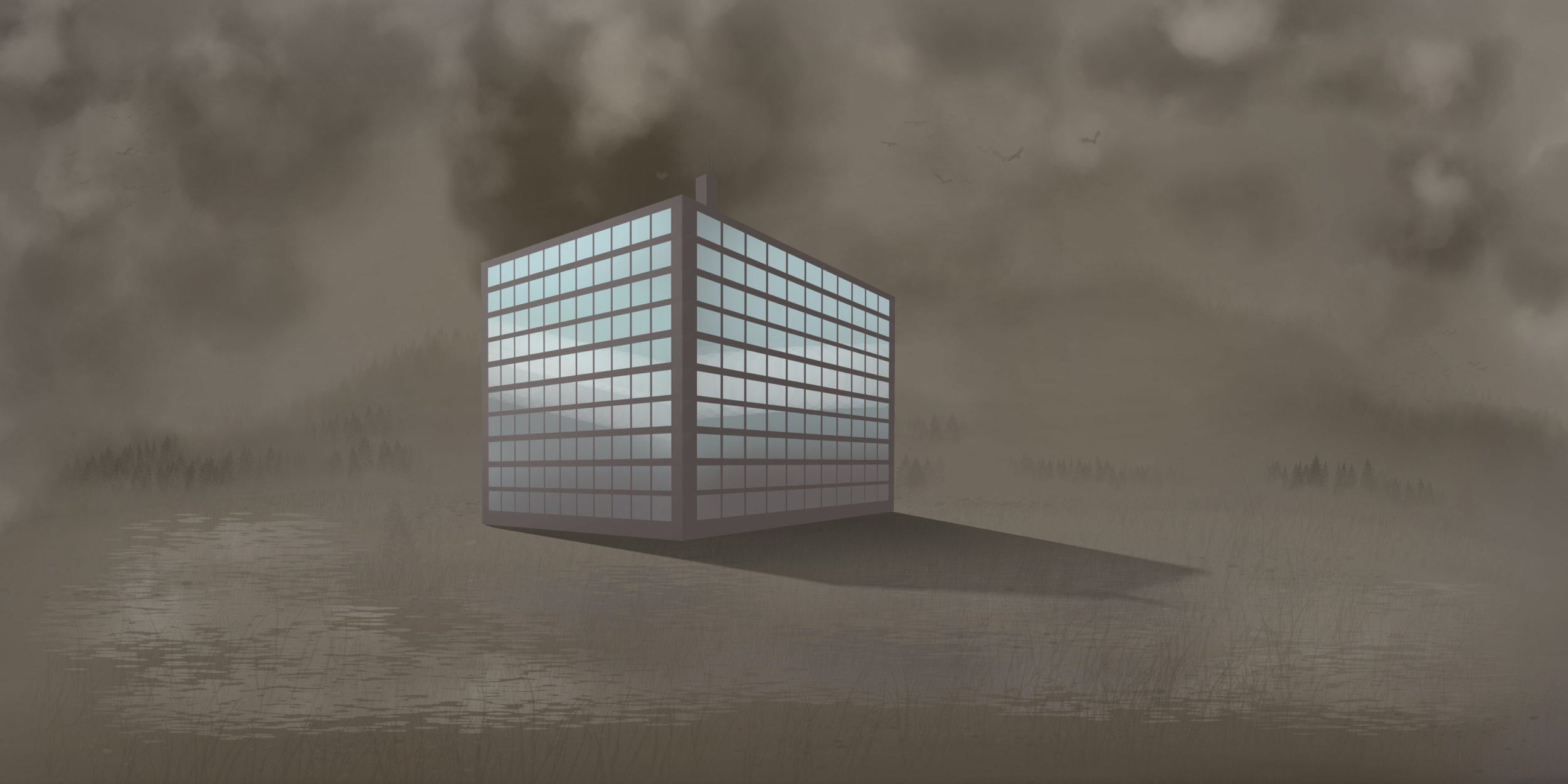 Démo sélection et transfo.jpg