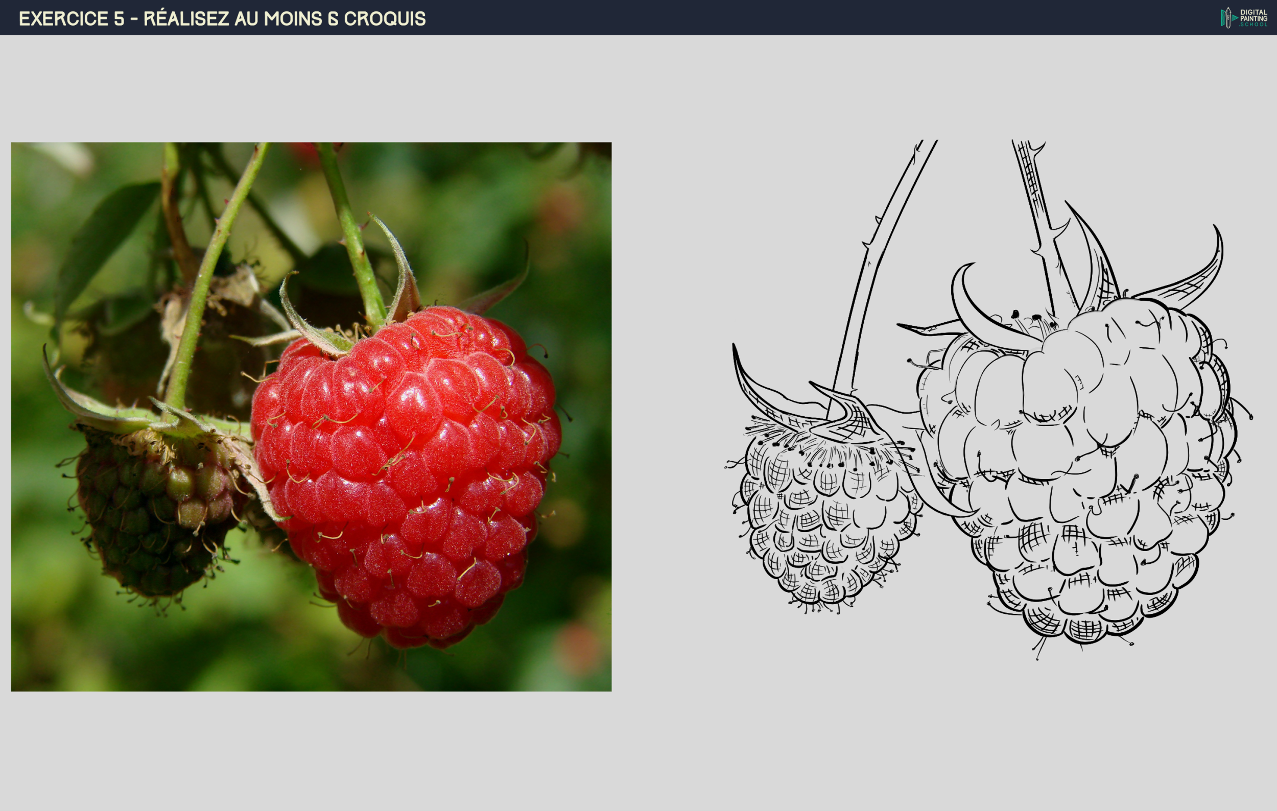 Framboise.png