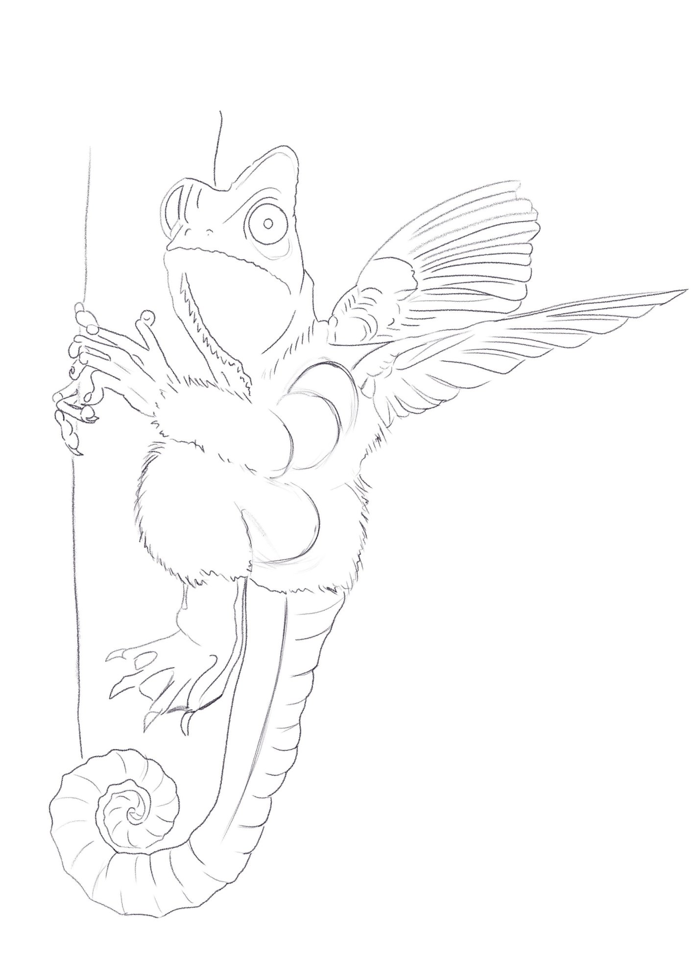 Mon illustration.jpg