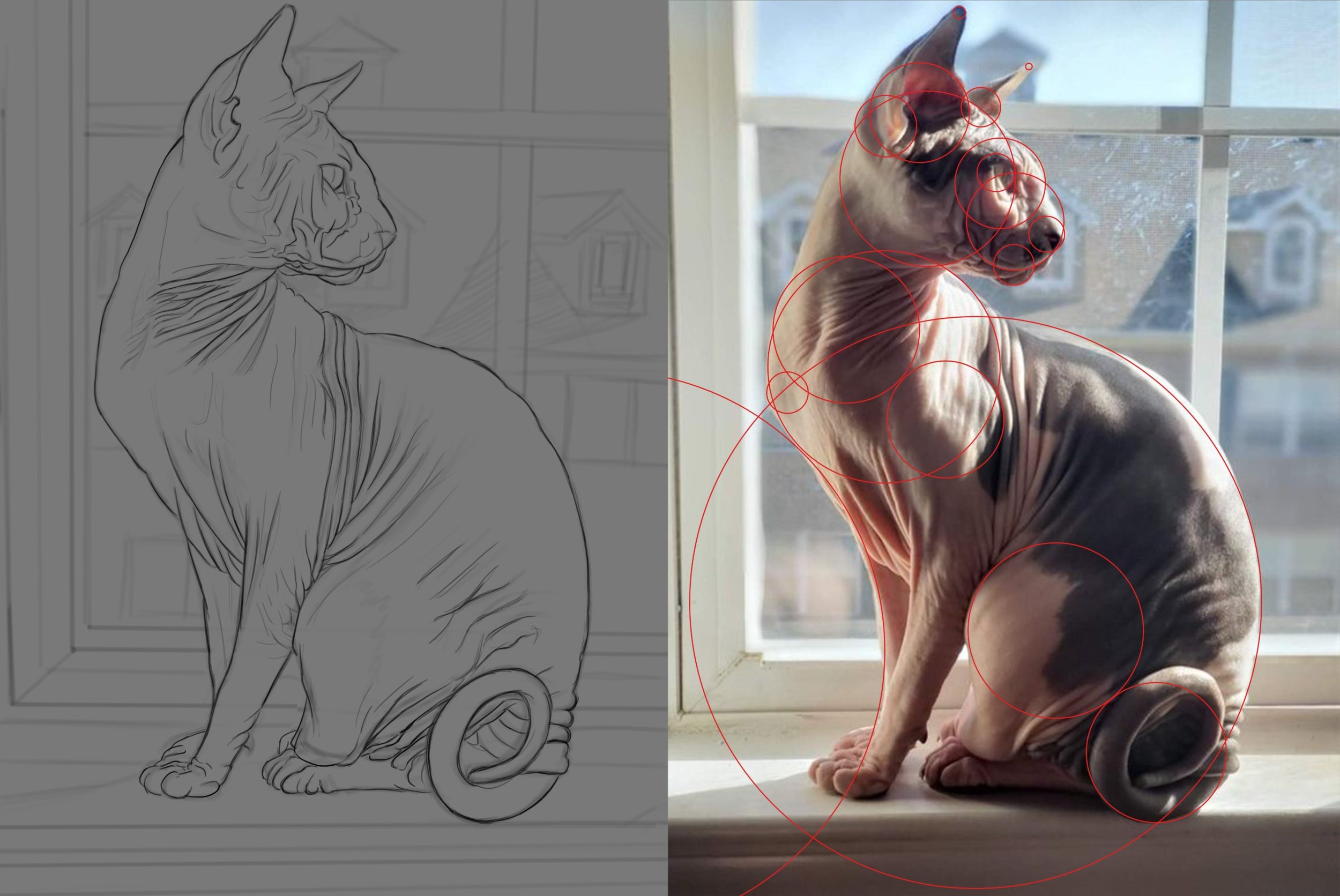 étude 5 croquis.jpg