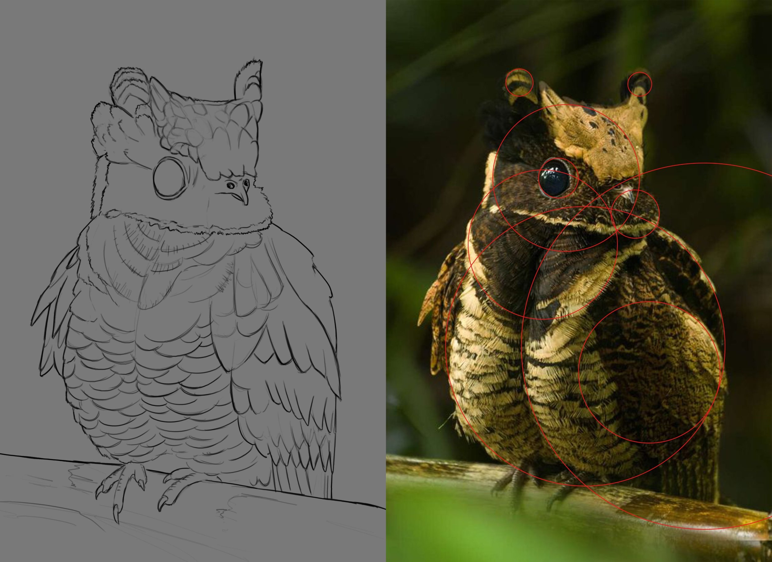 étude 6 croquis.jpg