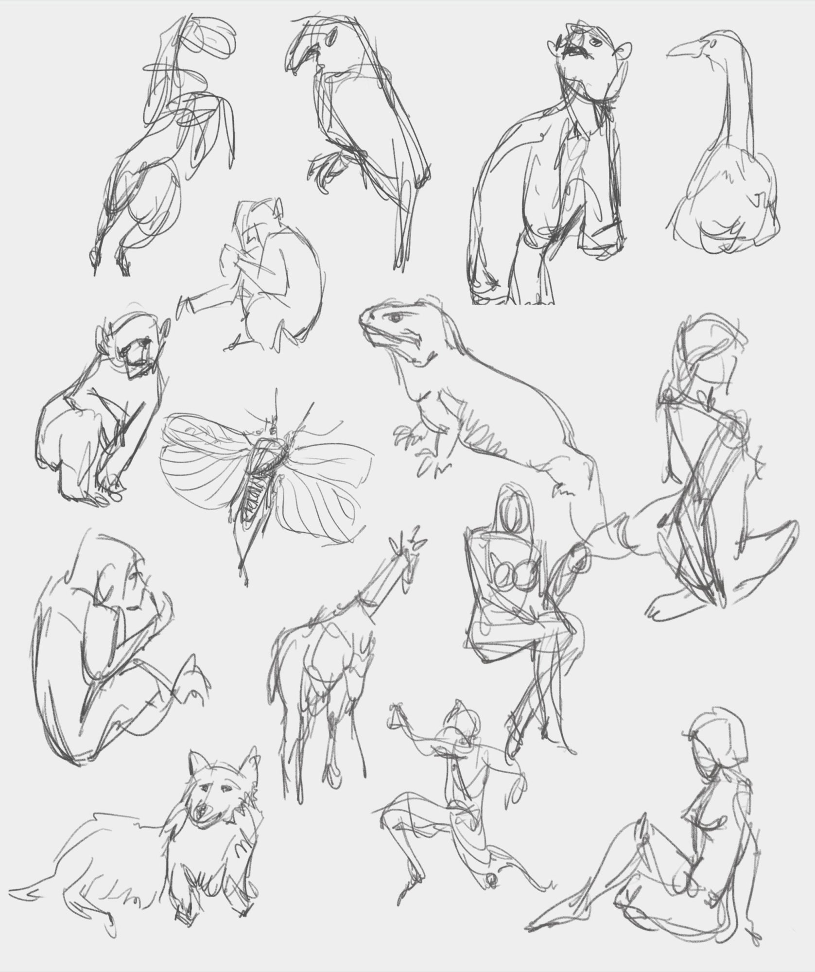 230813 gestures.jpg