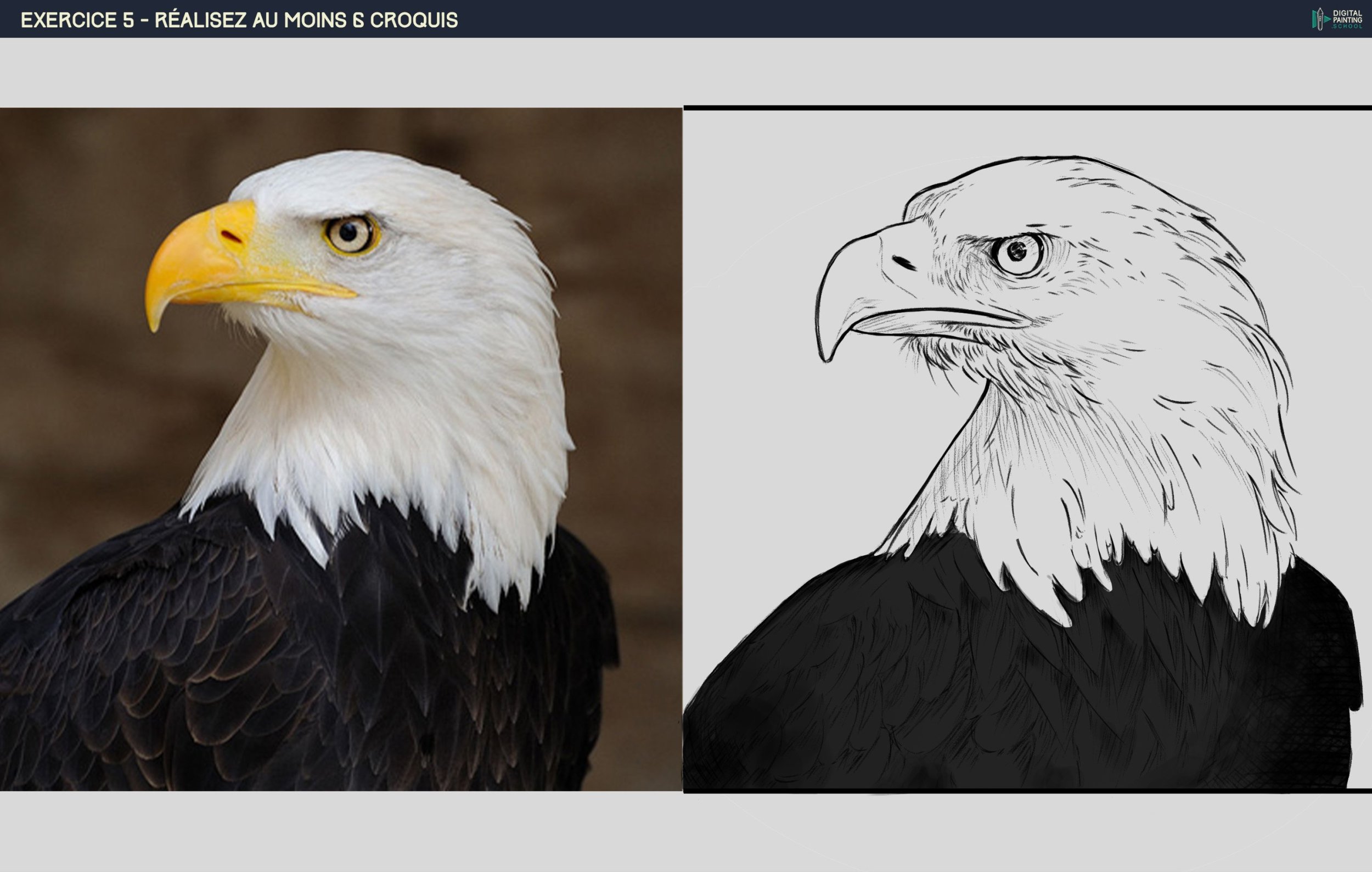 Exo 5 - croquis 3.jpg